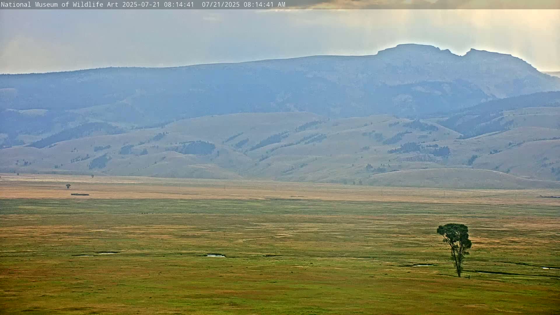 Jackson Hole, Elk Refuge from National Museum of Wildlife Art Live Cam -  Jackson, Teton, Wyoming, USA