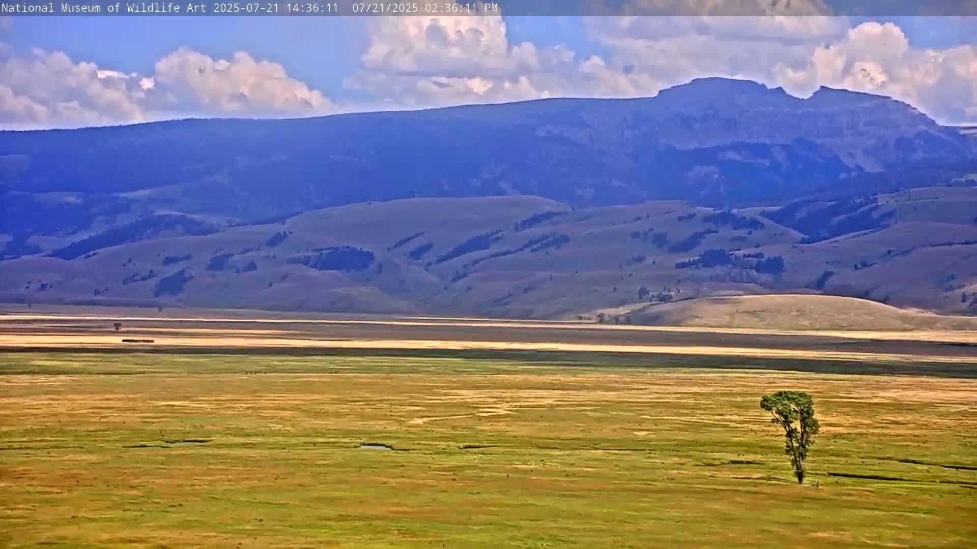 Jackson Hole, Elk Refuge from National Museum of Wildlife Art Live Cam -  Jackson, Teton, Wyoming, USA