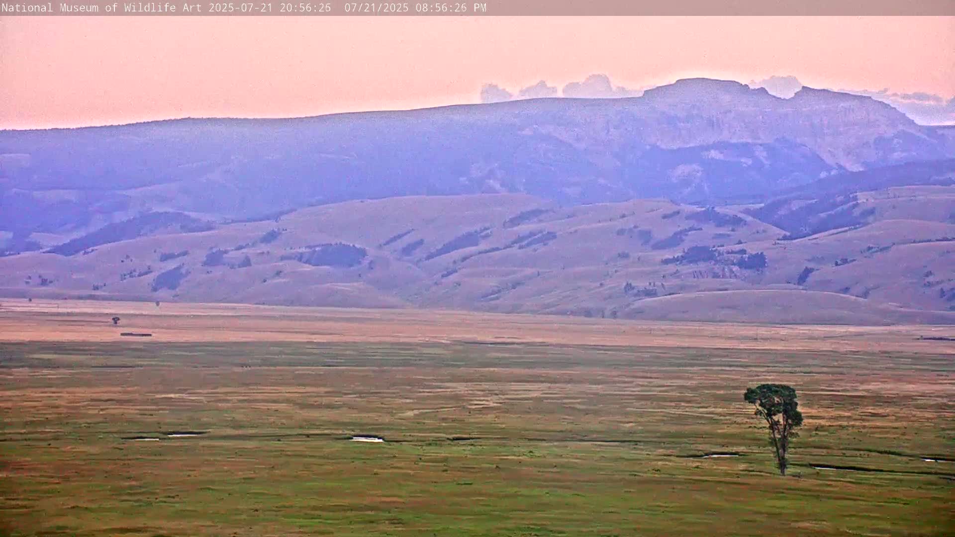 Jackson Hole, Elk Refuge from National Museum of Wildlife Art Live Cam -  Jackson, Teton, Wyoming, USA