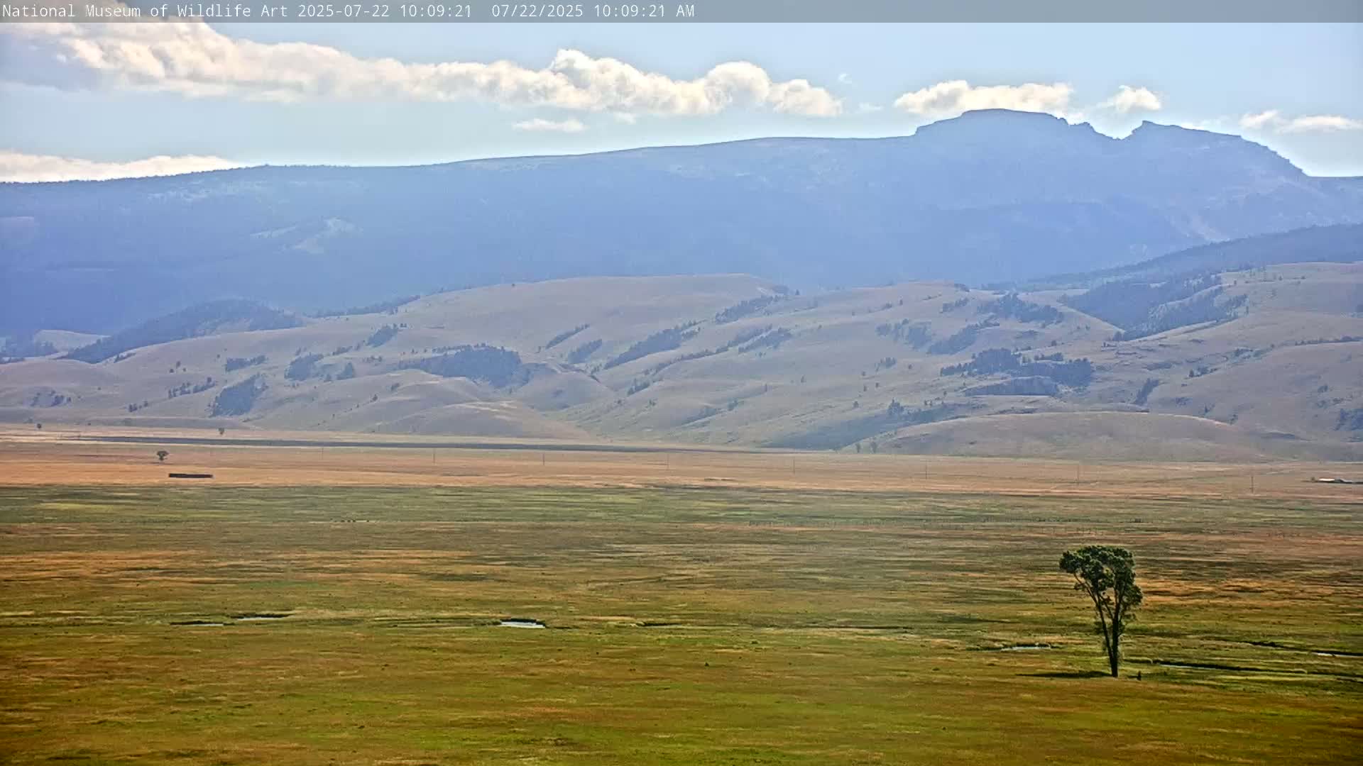 Jackson Hole, Elk Refuge from National Museum of Wildlife Art Live Cam -  Jackson, Teton, Wyoming, USA