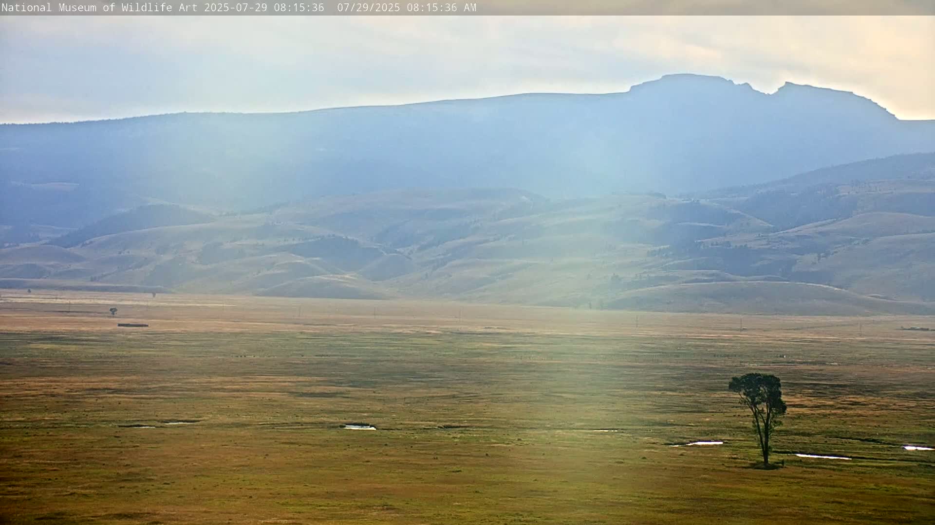 Jackson Hole, Elk Refuge from National Museum of Wildlife Art Live Cam -  Jackson, Teton, Wyoming, USA