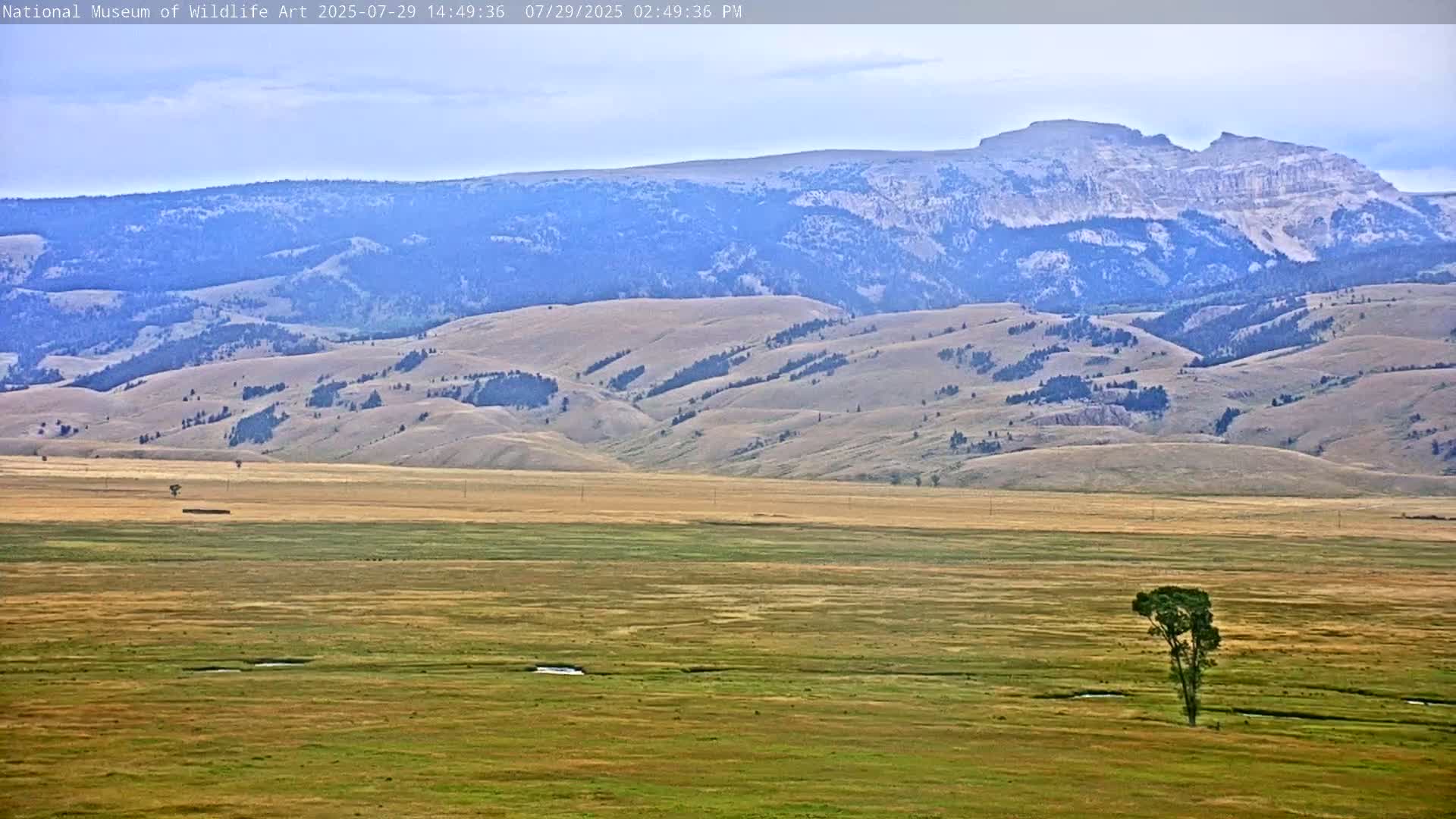 Jackson Hole, Elk Refuge from National Museum of Wildlife Art Live Cam -  Jackson, Teton, Wyoming, USA