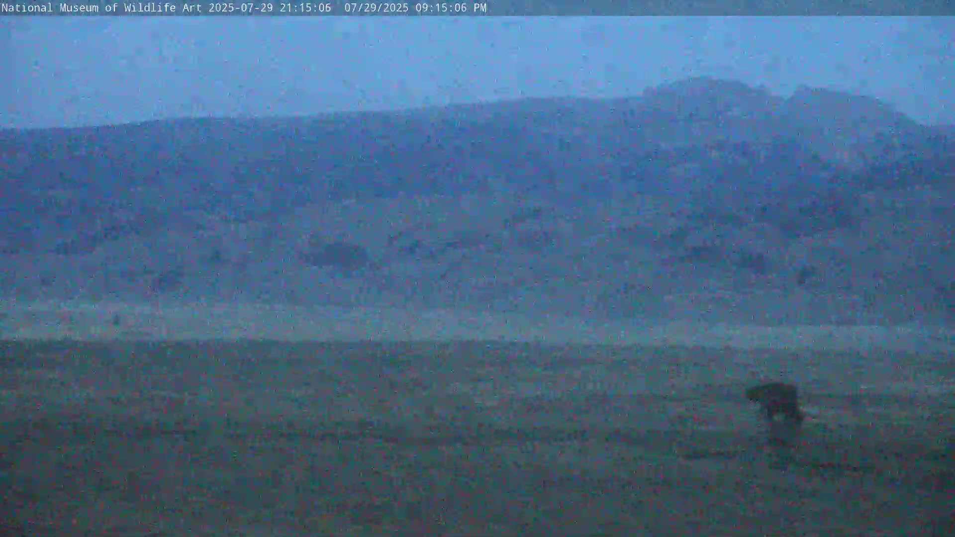 Jackson Hole, Elk Refuge from National Museum of Wildlife Art Live Cam -  Jackson, Teton, Wyoming, USA