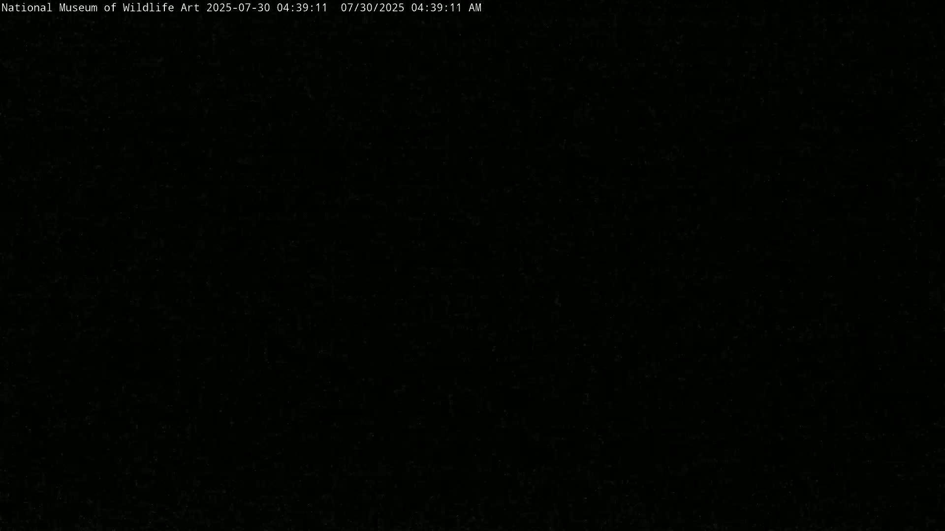 Jackson Hole, Elk Refuge from National Museum of Wildlife Art Live Cam -  Jackson, Teton, Wyoming, USA