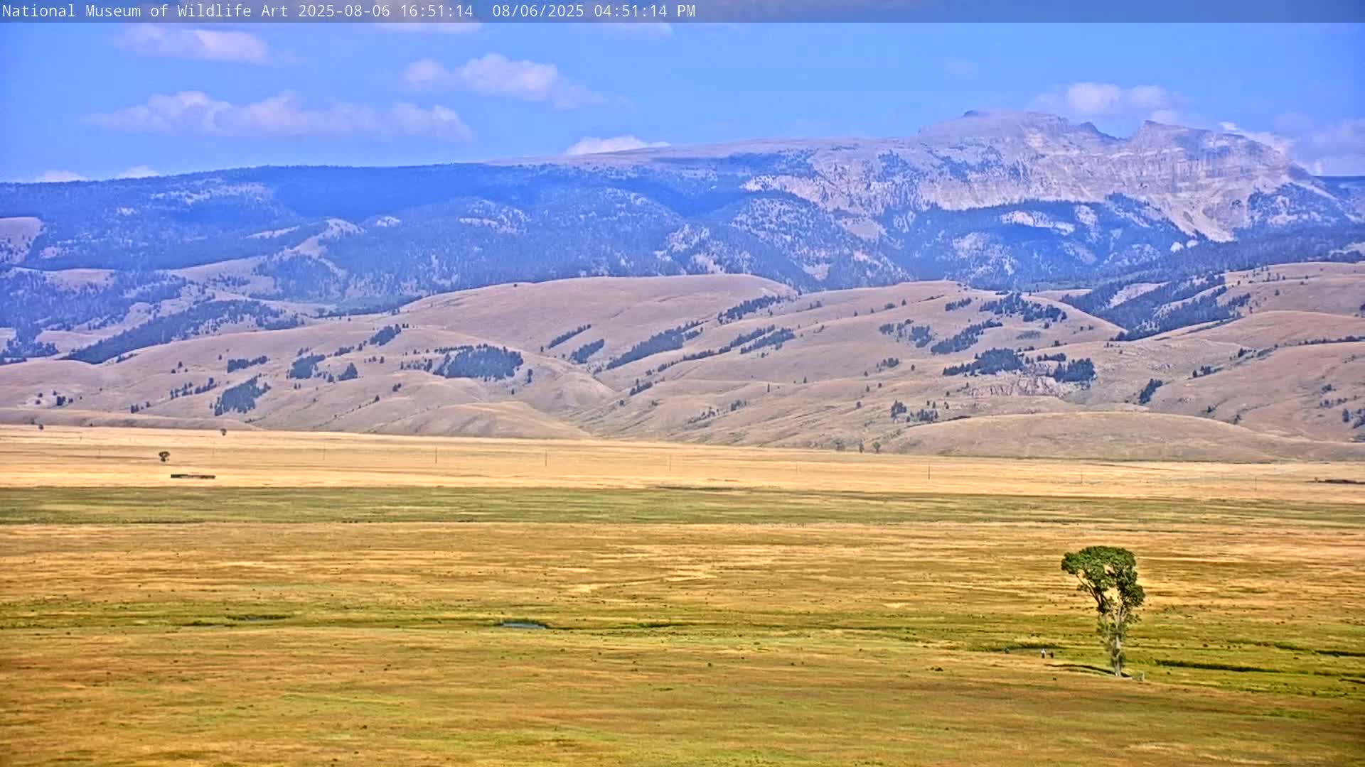 Jackson Hole, Elk Refuge from National Museum of Wildlife Art Live Cam -  Jackson, Teton, Wyoming, USA