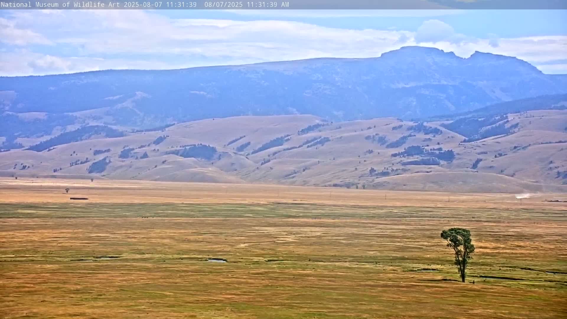 Jackson Hole, Elk Refuge from National Museum of Wildlife Art Live Cam -  Jackson, Teton, Wyoming, USA