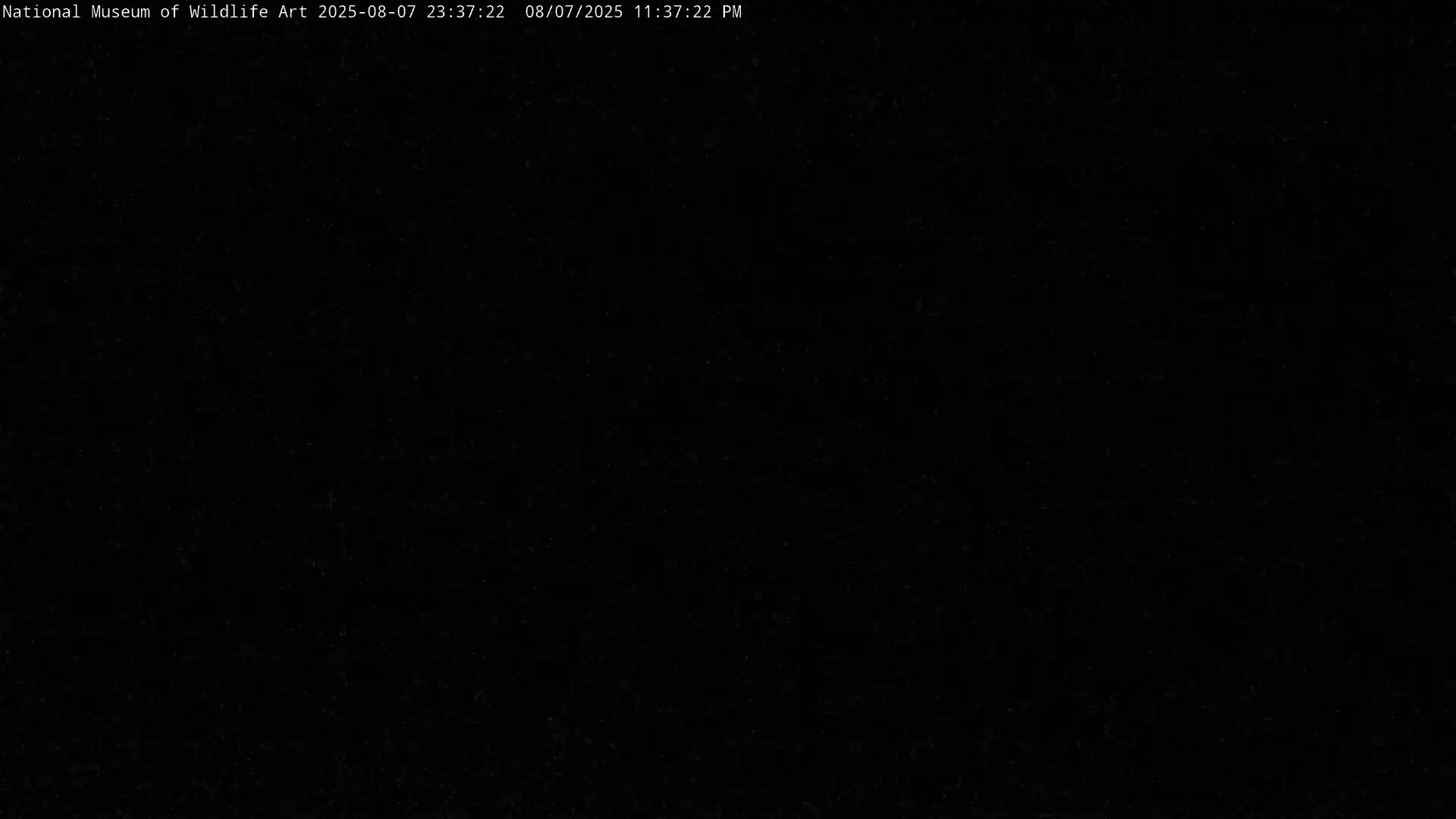Jackson Hole, Elk Refuge from National Museum of Wildlife Art Live Cam -  Jackson, Teton, Wyoming, USA