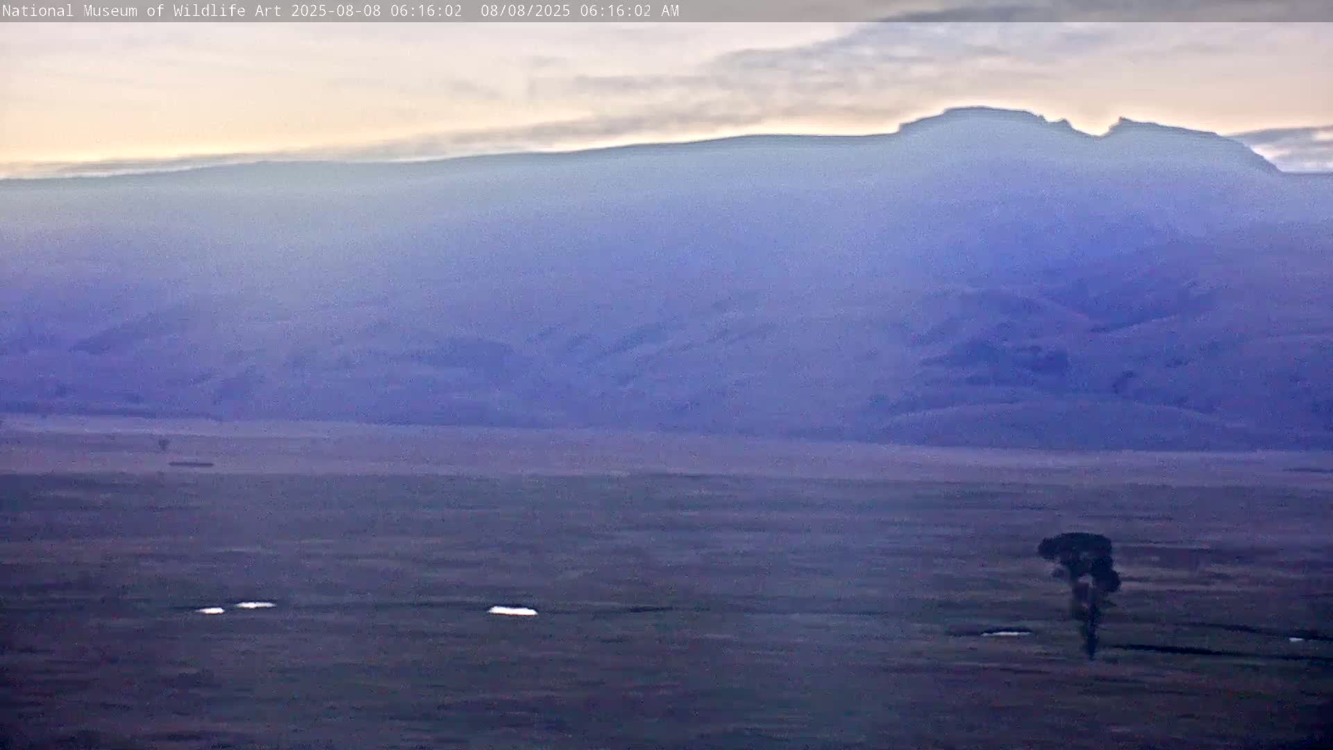 Jackson Hole, Elk Refuge from National Museum of Wildlife Art Live Cam -  Jackson, Teton, Wyoming, USA