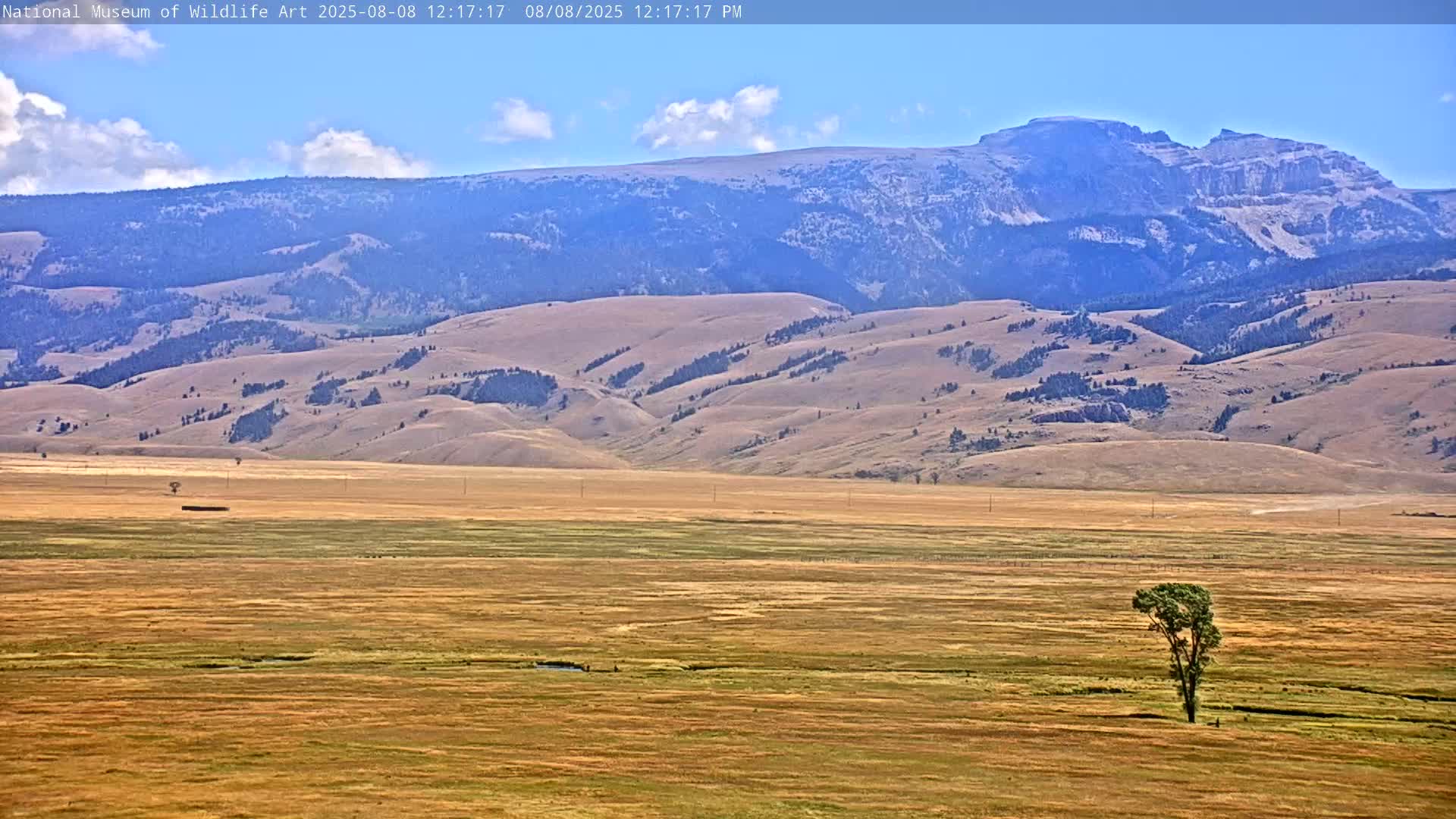 Jackson Hole, Elk Refuge from National Museum of Wildlife Art Live Cam -  Jackson, Teton, Wyoming, USA