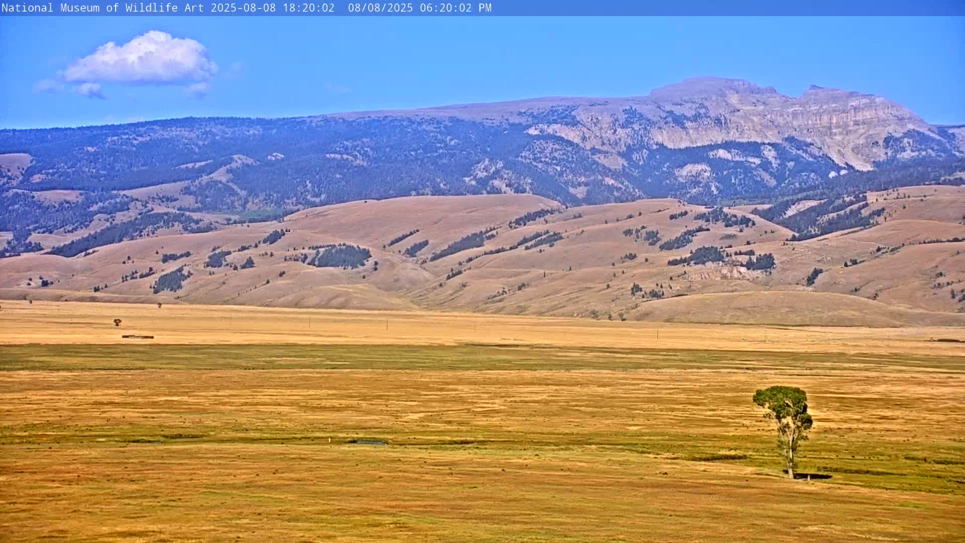 Jackson Hole, Elk Refuge from National Museum of Wildlife Art Live Cam -  Jackson, Teton, Wyoming, USA