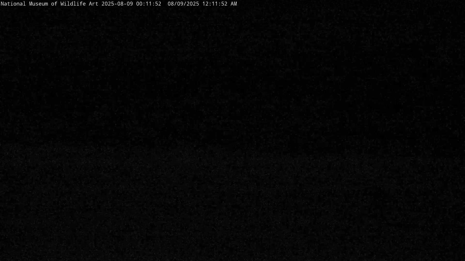 Jackson Hole, Elk Refuge from National Museum of Wildlife Art Live Cam -  Jackson, Teton, Wyoming, USA