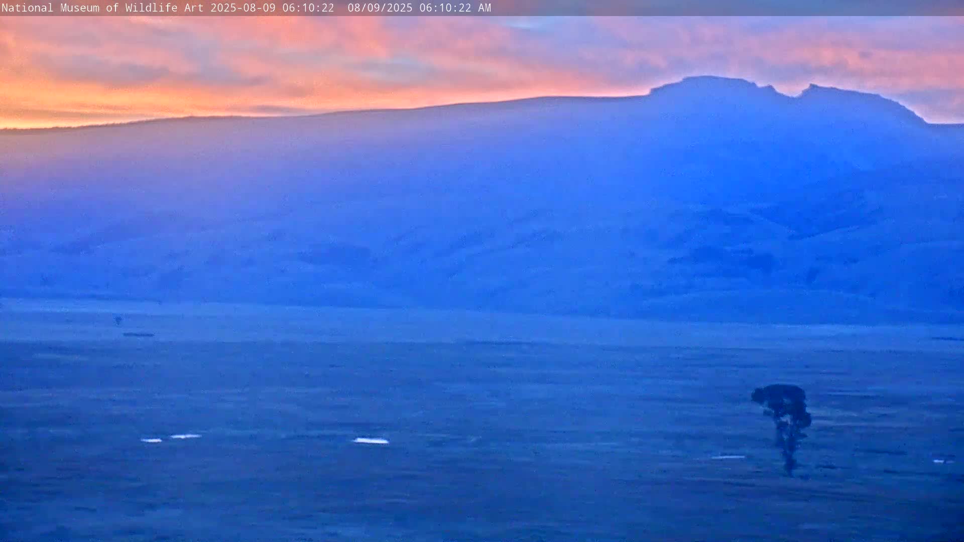 Jackson Hole, Elk Refuge from National Museum of Wildlife Art Live Cam -  Jackson, Teton, Wyoming, USA