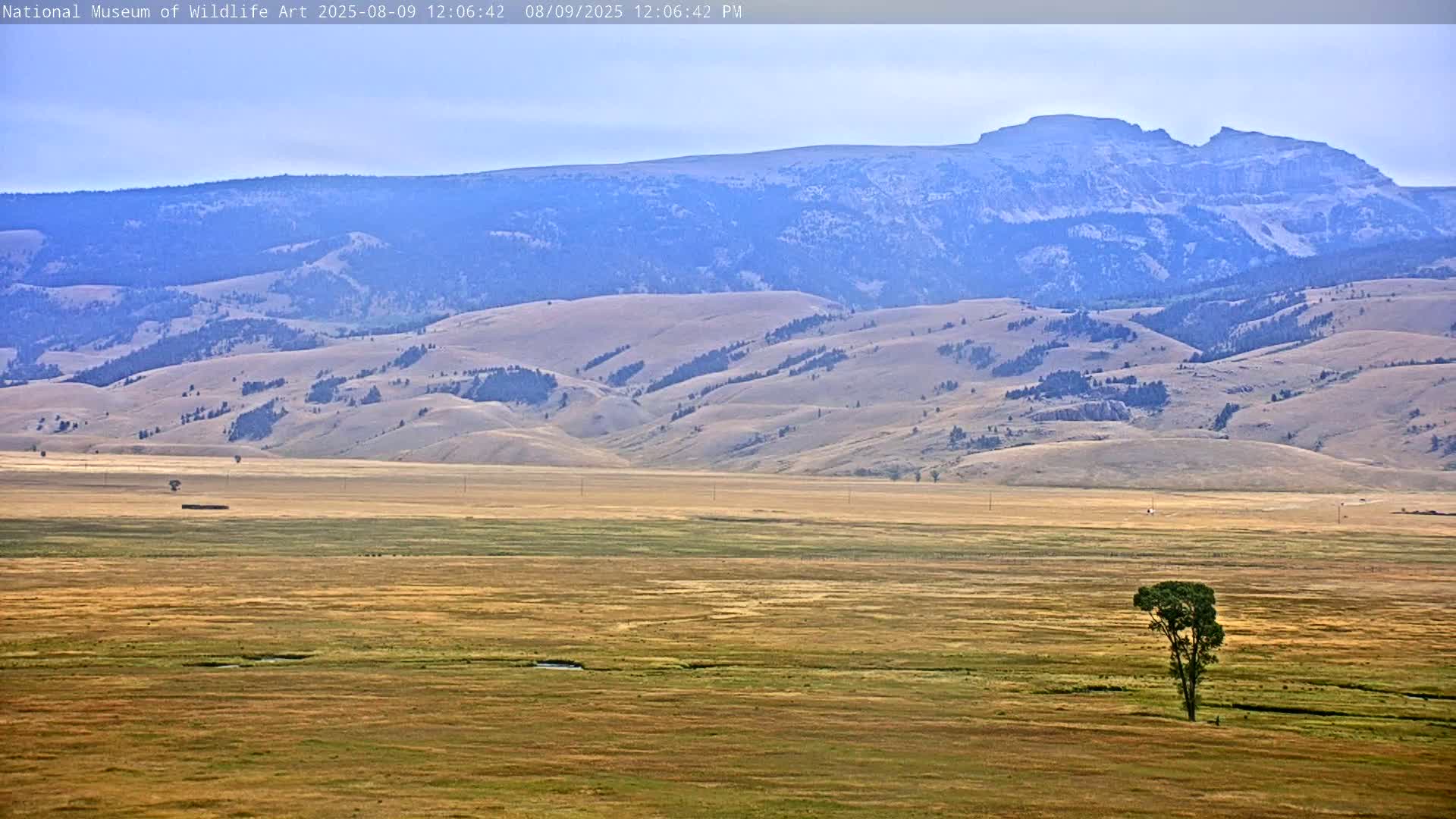 Jackson Hole, Elk Refuge from National Museum of Wildlife Art Live Cam -  Jackson, Teton, Wyoming, USA