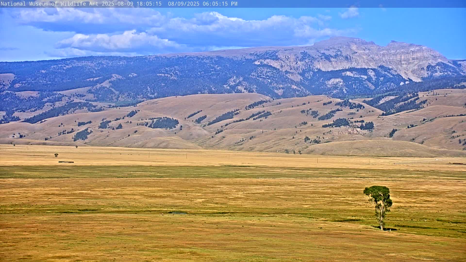 Jackson Hole, Elk Refuge from National Museum of Wildlife Art Live Cam -  Jackson, Teton, Wyoming, USA