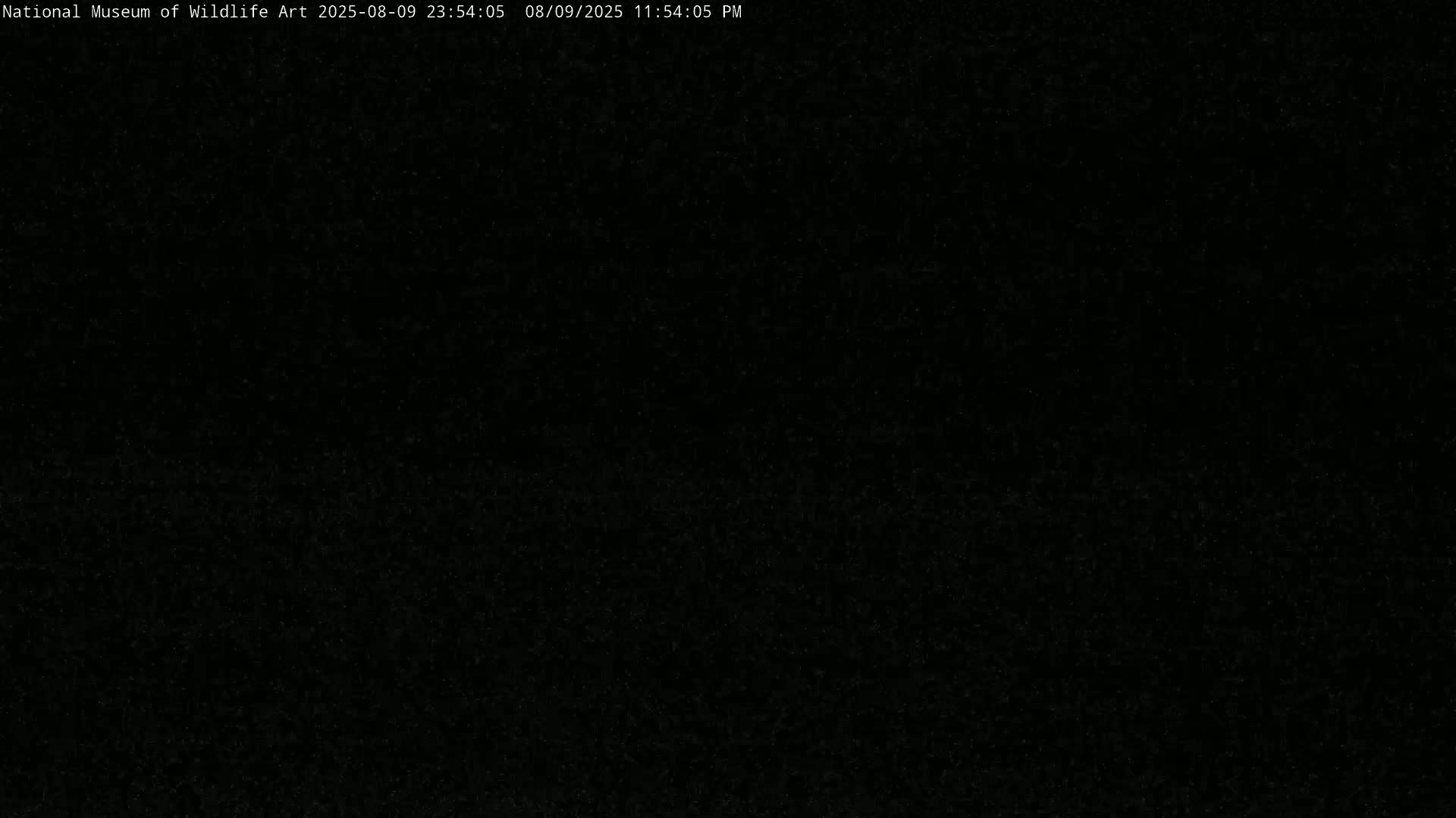 Jackson Hole, Elk Refuge from National Museum of Wildlife Art Live Cam -  Jackson, Teton, Wyoming, USA