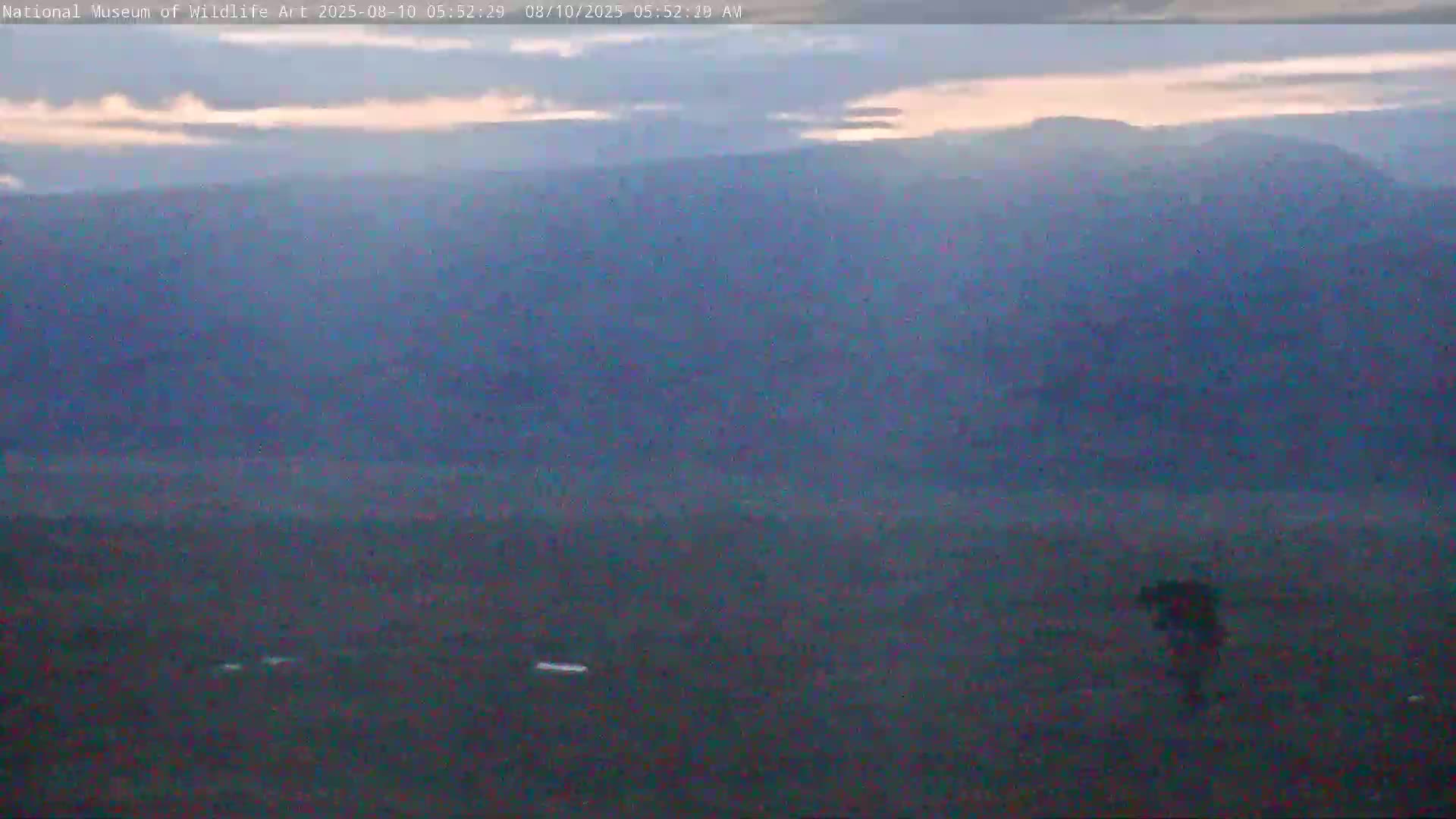 Jackson Hole, Elk Refuge from National Museum of Wildlife Art Live Cam -  Jackson, Teton, Wyoming, USA