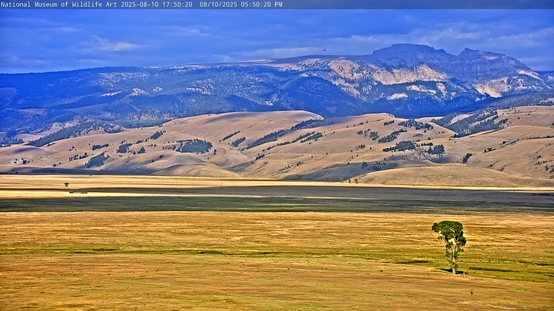 Jackson Hole, Elk Refuge from National Museum of Wildlife Art Live Cam -  Jackson, Teton, Wyoming, USA