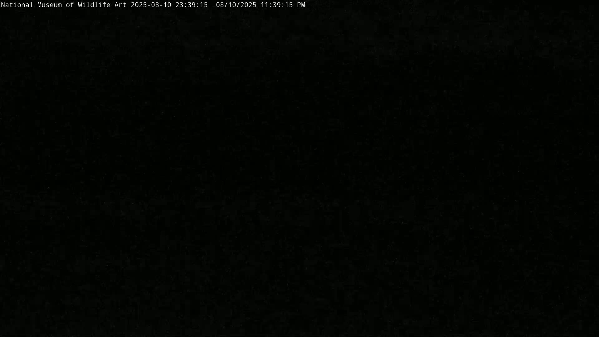 Jackson Hole, Elk Refuge from National Museum of Wildlife Art Live Cam -  Jackson, Teton, Wyoming, USA