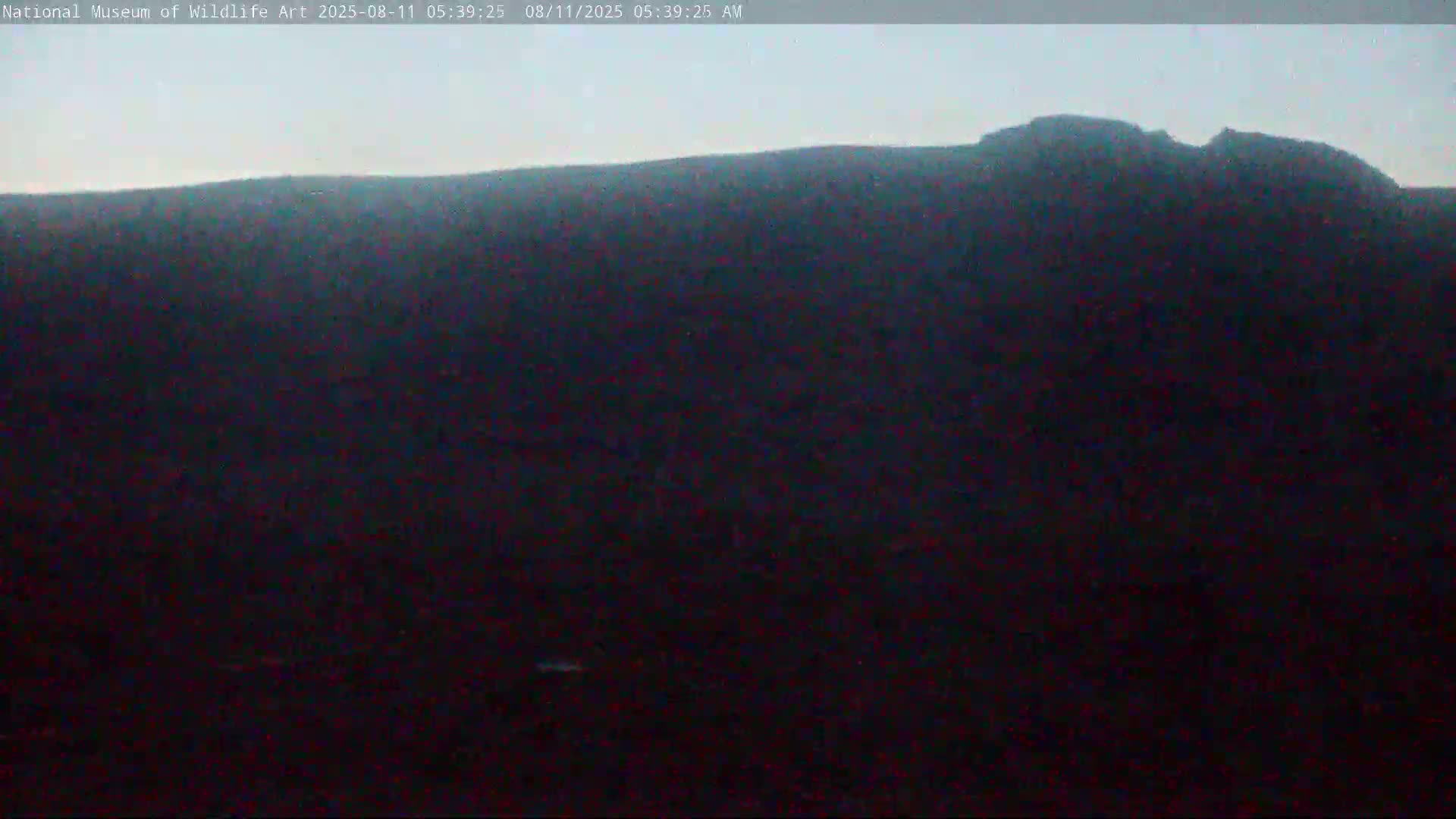 Jackson Hole, Elk Refuge from National Museum of Wildlife Art Live Cam -  Jackson, Teton, Wyoming, USA