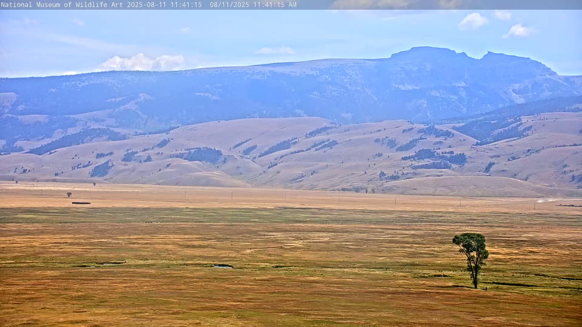 Jackson Hole, Elk Refuge from National Museum of Wildlife Art Live Cam -  Jackson, Teton, Wyoming, USA