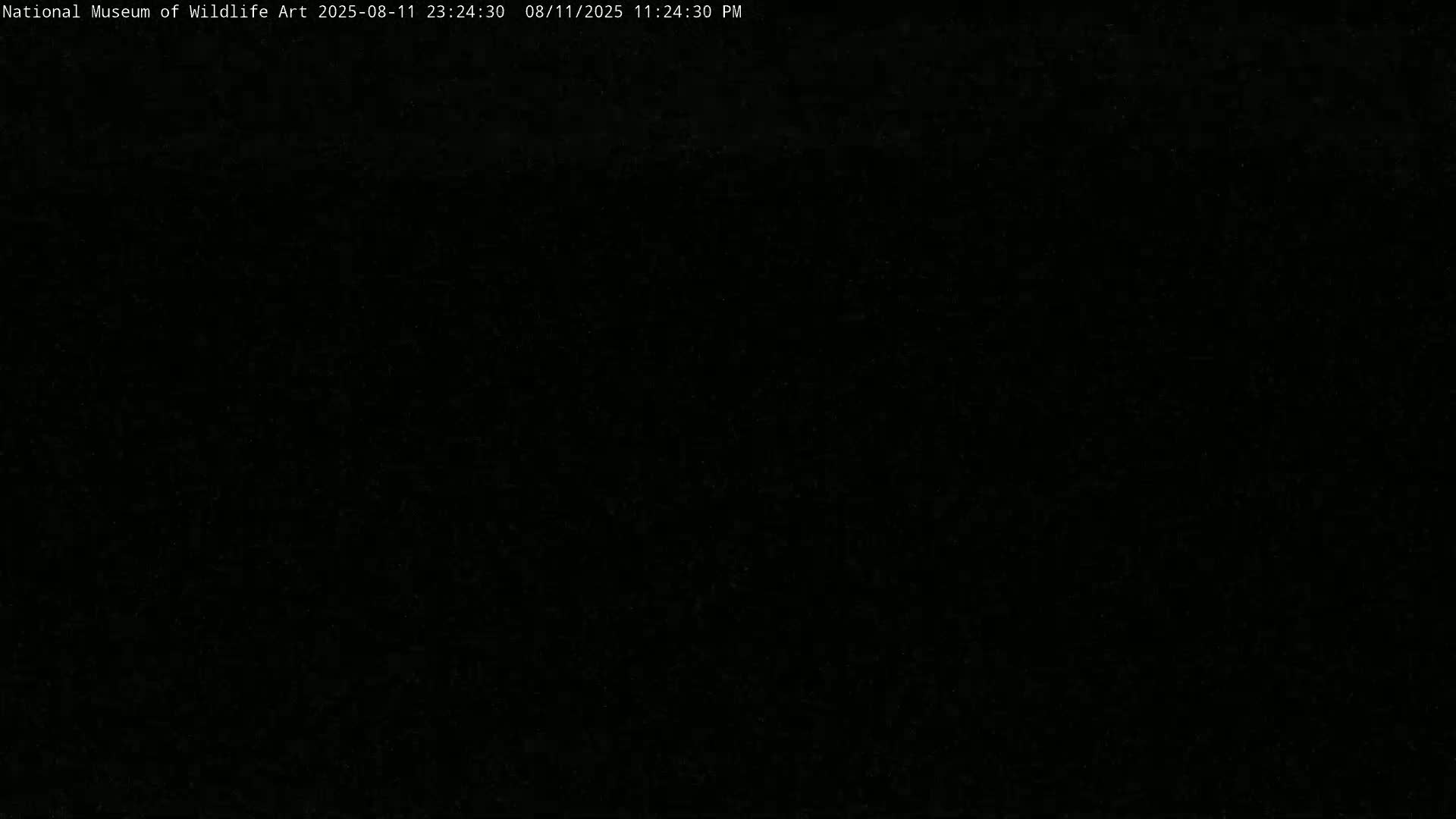 Jackson Hole, Elk Refuge from National Museum of Wildlife Art Live Cam -  Jackson, Teton, Wyoming, USA