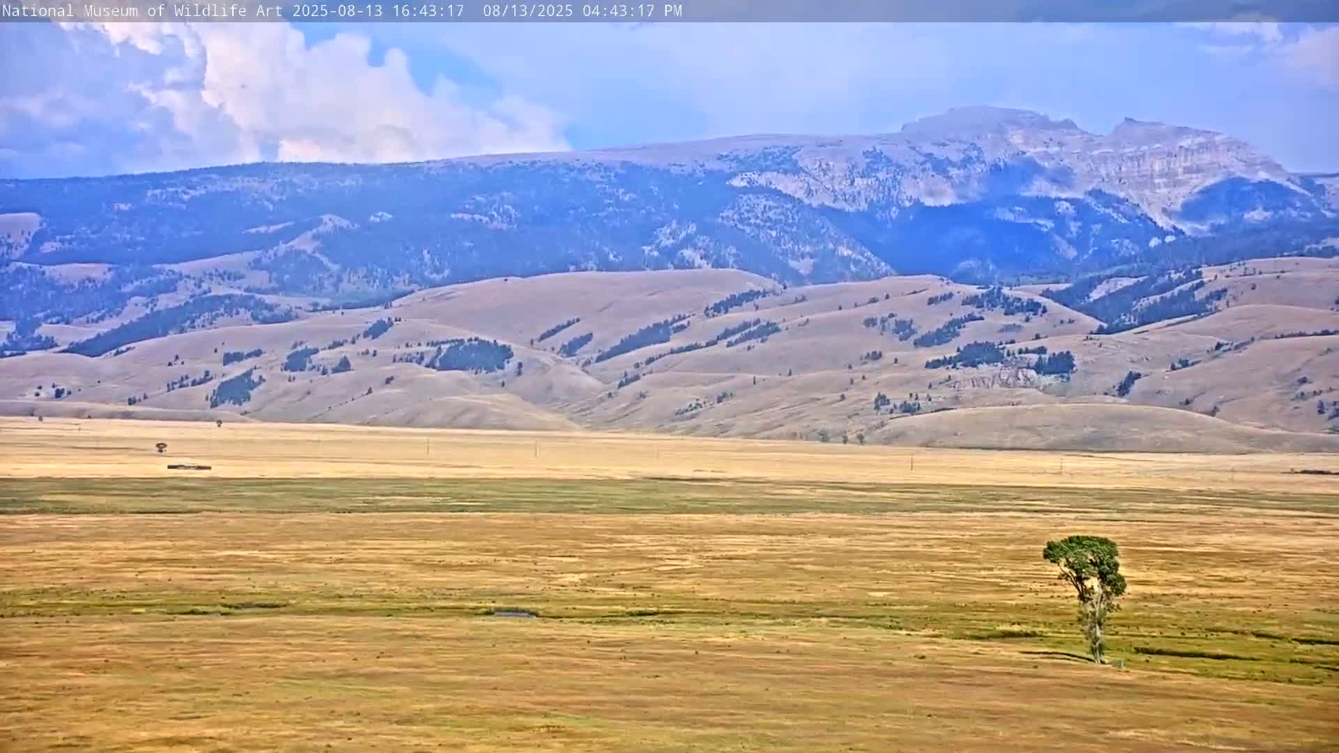 Jackson Hole, Elk Refuge from National Museum of Wildlife Art Live Cam -  Jackson, Teton, Wyoming, USA
