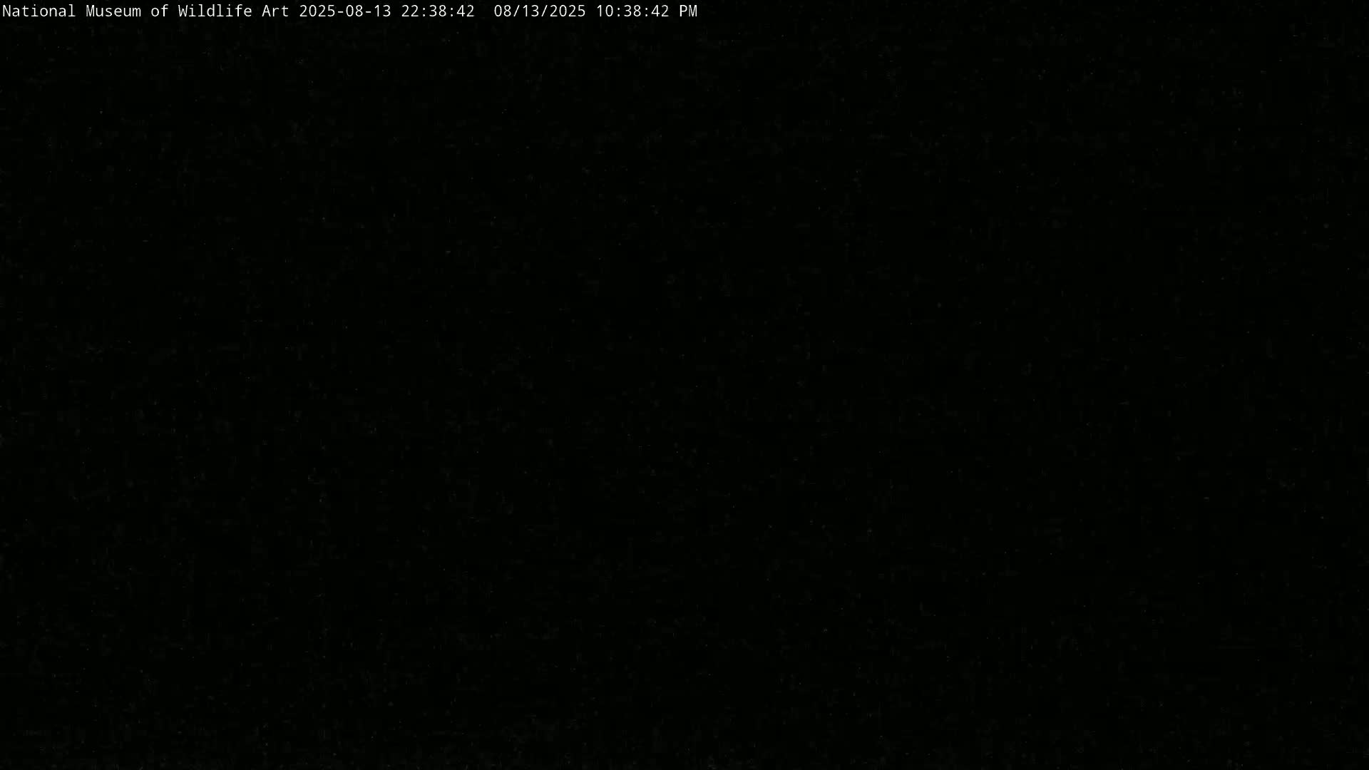 Jackson Hole, Elk Refuge from National Museum of Wildlife Art Live Cam -  Jackson, Teton, Wyoming, USA