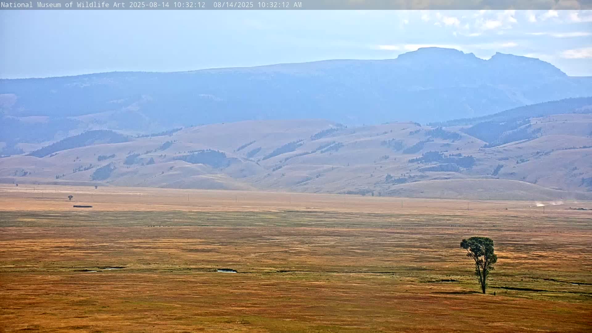 Jackson Hole, Elk Refuge from National Museum of Wildlife Art Live Cam -  Jackson, Teton, Wyoming, USA