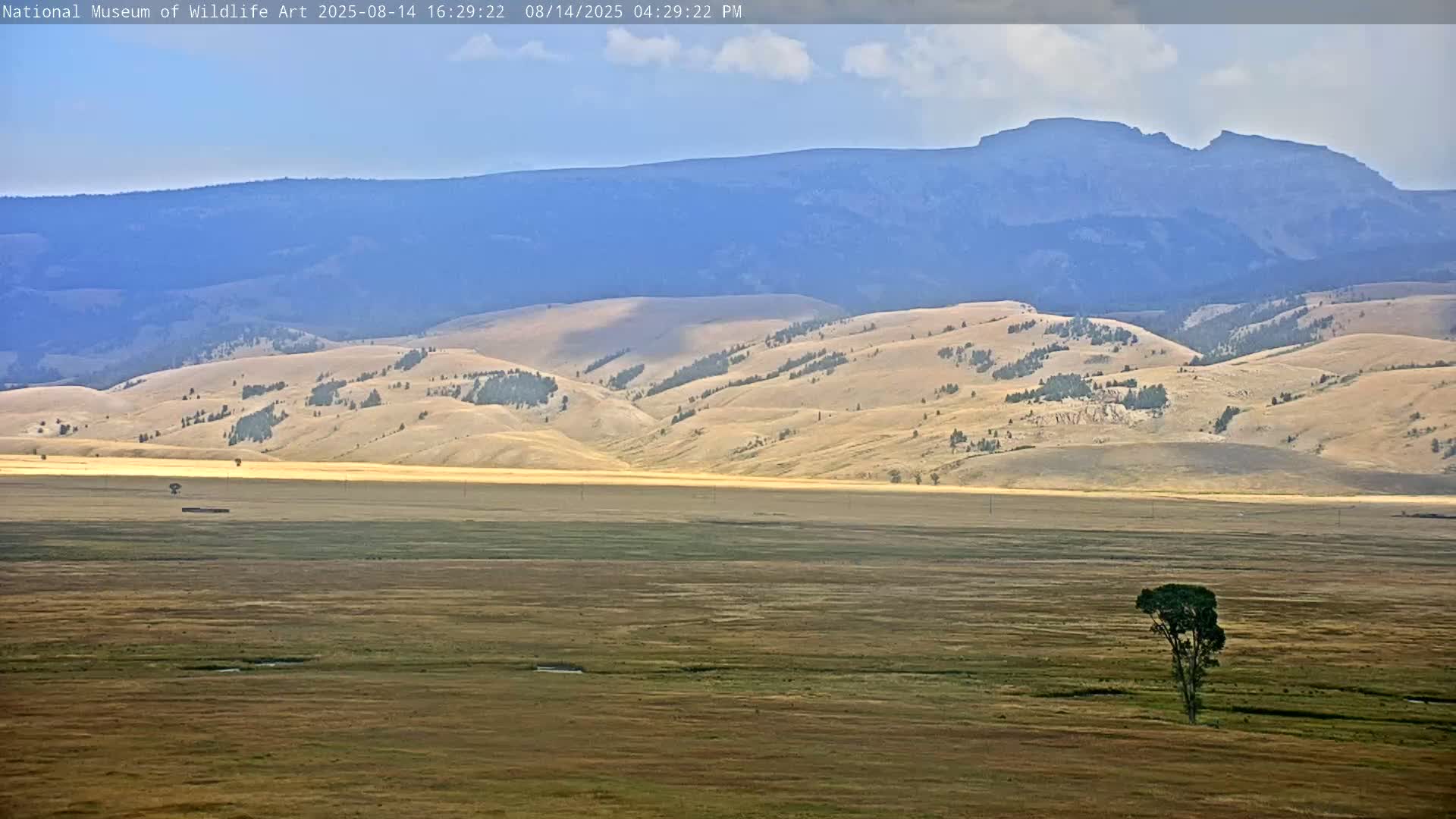 Jackson Hole, Elk Refuge from National Museum of Wildlife Art Live Cam -  Jackson, Teton, Wyoming, USA