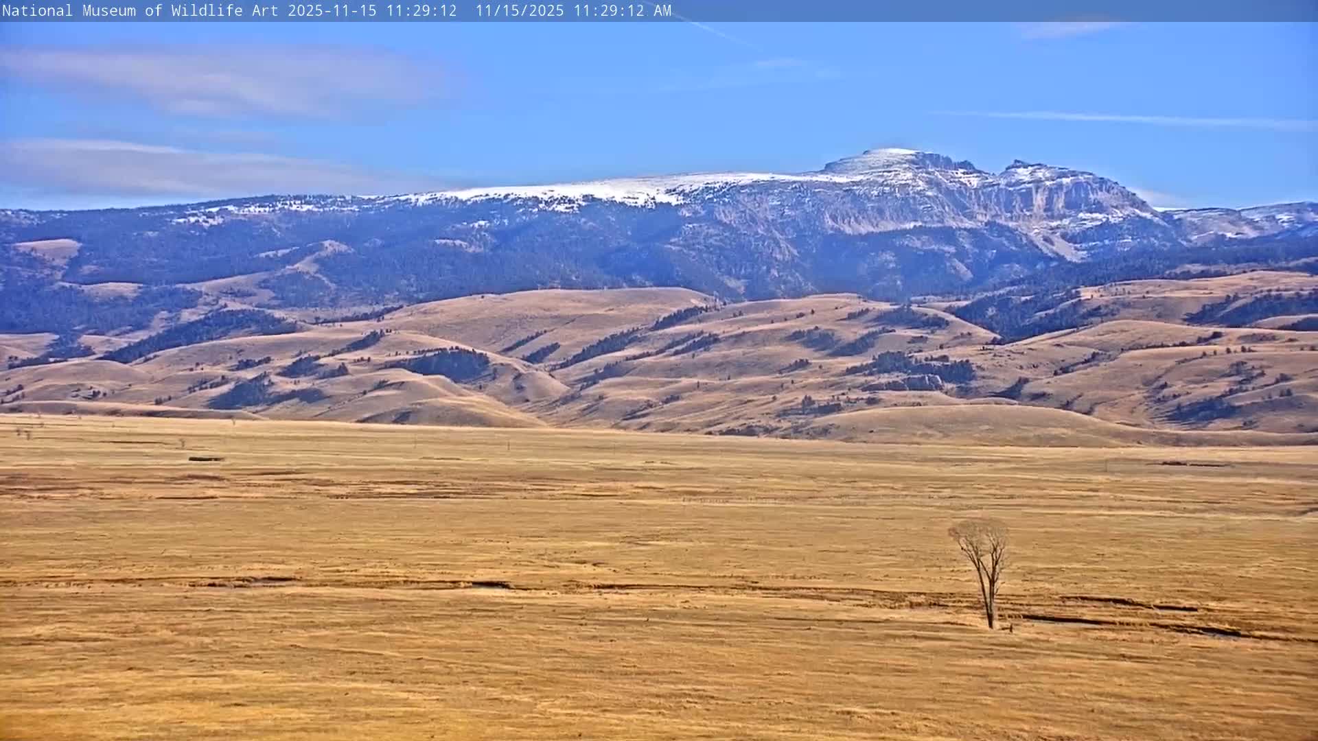 Jackson Hole, Elk Refuge from National Museum of Wildlife Art Live Cam -  Jackson, Teton, Wyoming, USA
