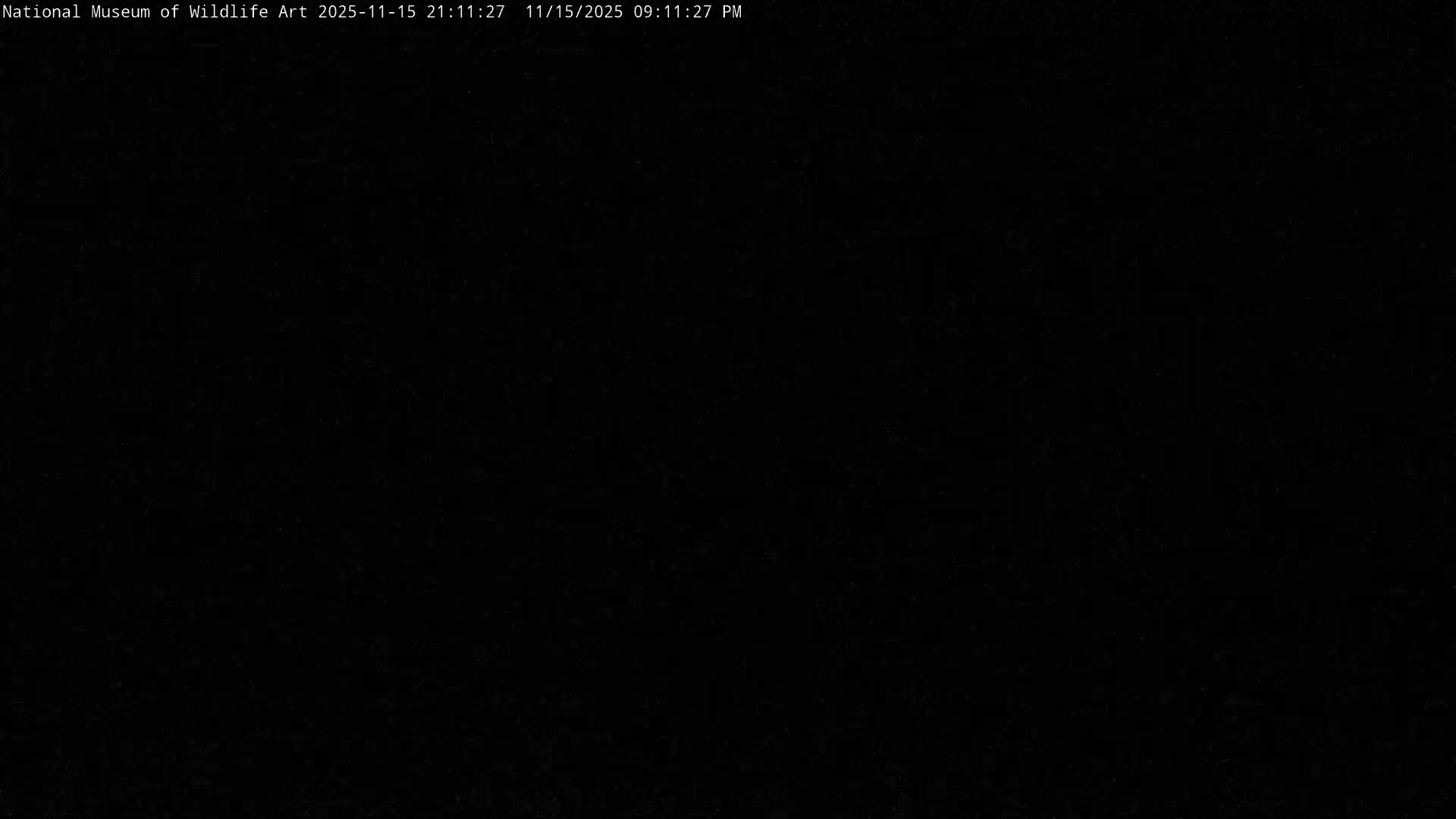 Jackson Hole, Elk Refuge from National Museum of Wildlife Art Live Cam -  Jackson, Teton, Wyoming, USA