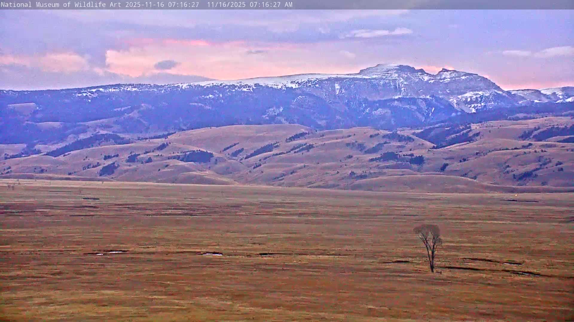 Jackson Hole, Elk Refuge from National Museum of Wildlife Art Live Cam -  Jackson, Teton, Wyoming, USA