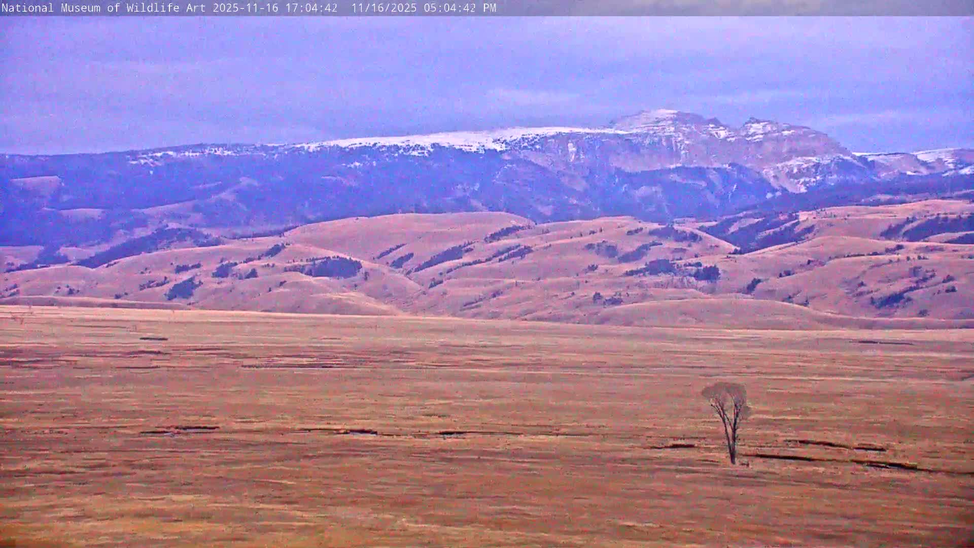 Jackson Hole, Elk Refuge from National Museum of Wildlife Art Live Cam -  Jackson, Teton, Wyoming, USA