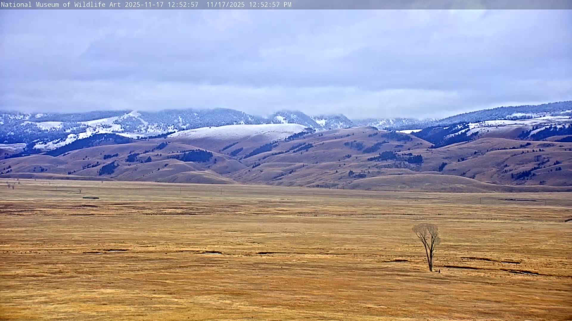 Jackson Hole, Elk Refuge from National Museum of Wildlife Art Live Cam -  Jackson, Teton, Wyoming, USA