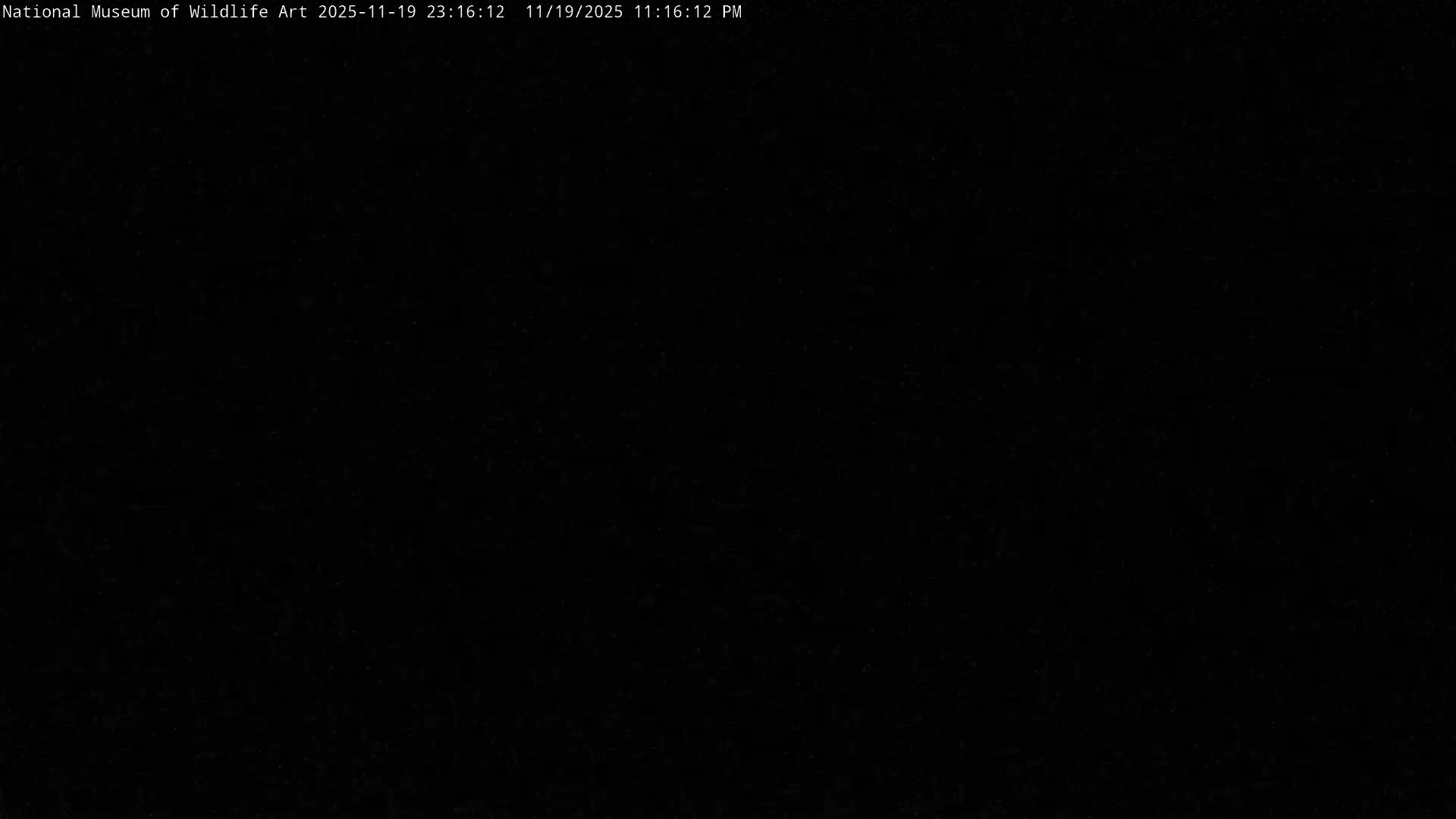 Jackson Hole, Elk Refuge from National Museum of Wildlife Art Live Cam -  Jackson, Teton, Wyoming, USA