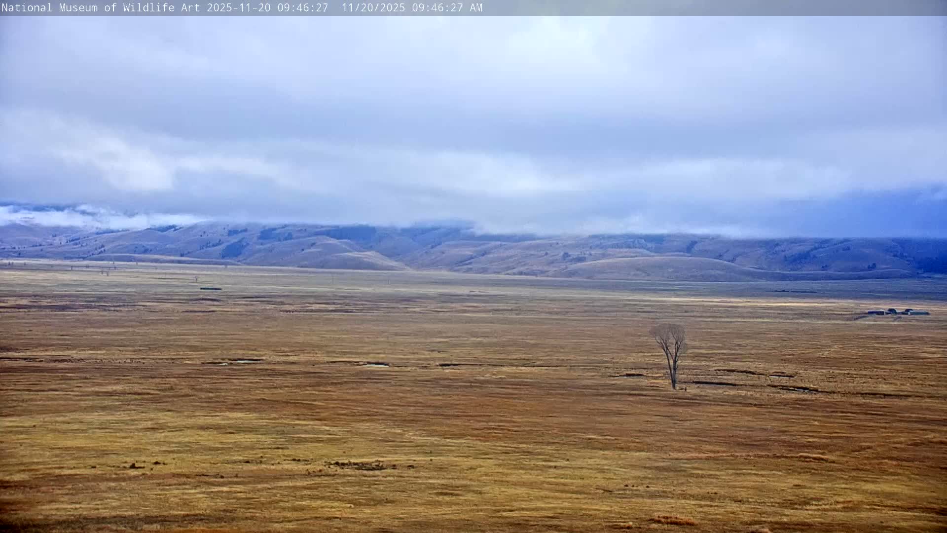 Jackson Hole, Elk Refuge from National Museum of Wildlife Art Live Cam -  Jackson, Teton, Wyoming, USA