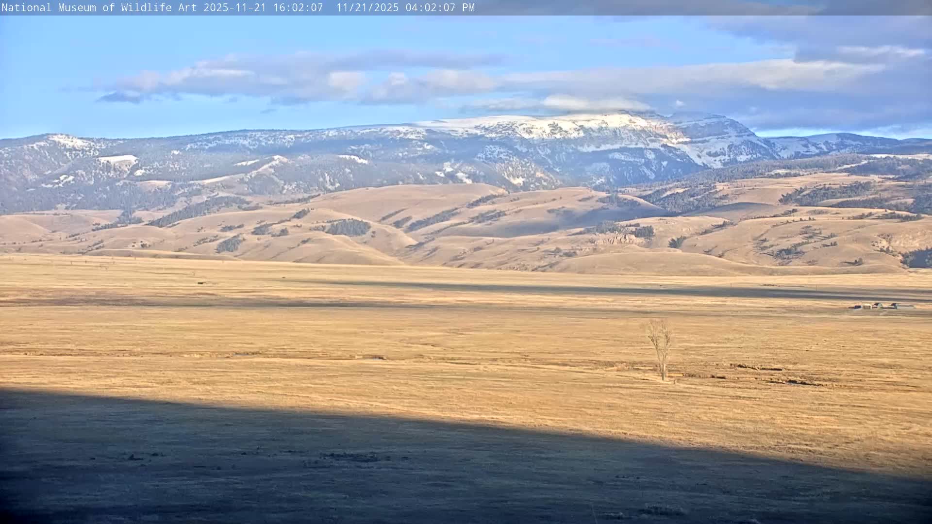 Jackson Hole, Elk Refuge from National Museum of Wildlife Art Live Cam -  Jackson, Teton, Wyoming, USA
