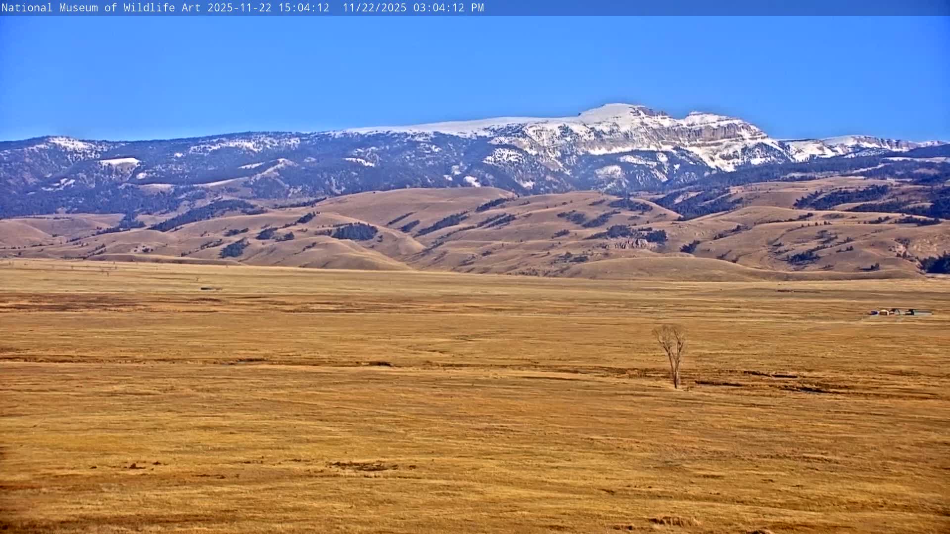 Jackson Hole, Elk Refuge from National Museum of Wildlife Art Live Cam -  Jackson, Teton, Wyoming, USA