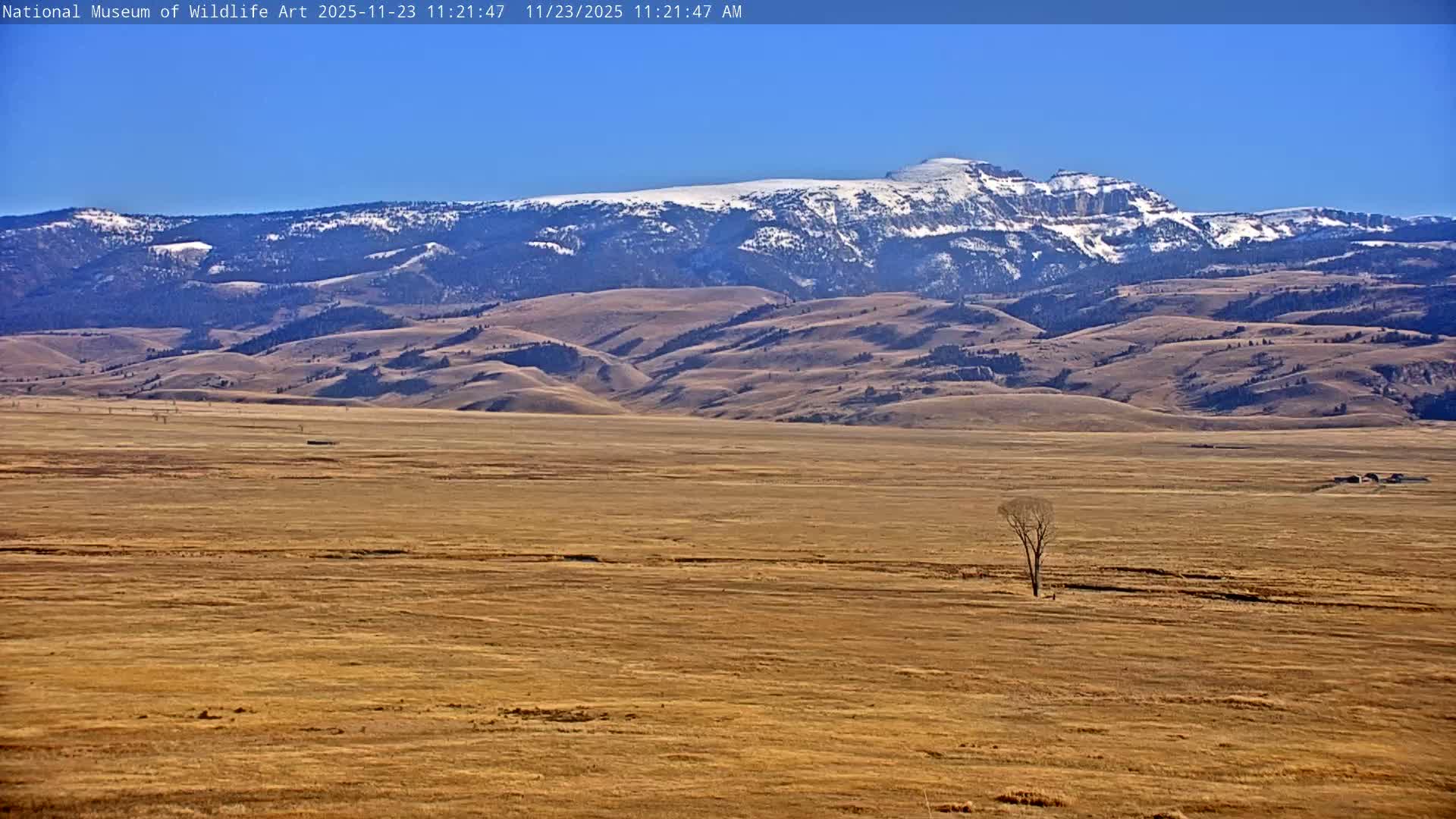 Jackson Hole, Elk Refuge from National Museum of Wildlife Art Live Cam -  Jackson, Teton, Wyoming, USA