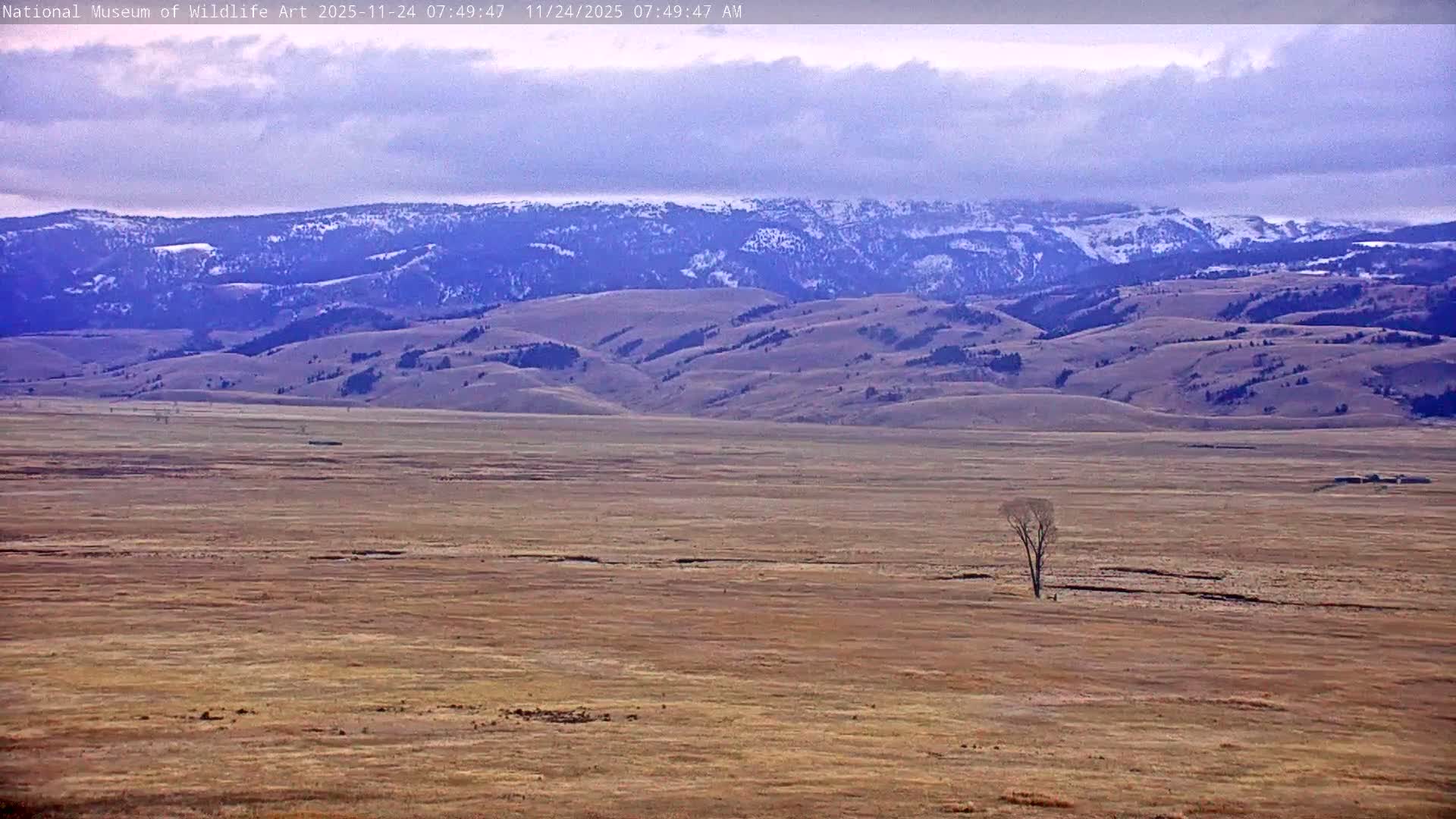 Jackson Hole, Elk Refuge from National Museum of Wildlife Art Live Cam -  Jackson, Teton, Wyoming, USA