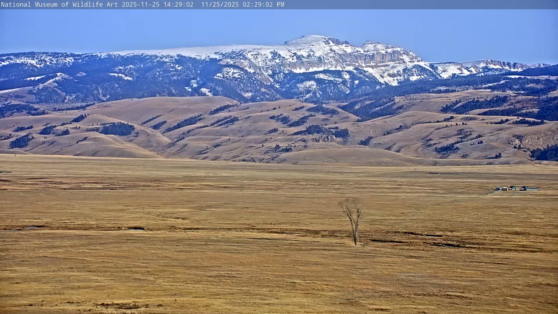 Jackson Hole, Elk Refuge from National Museum of Wildlife Art Live Cam -  Jackson, Teton, Wyoming, USA