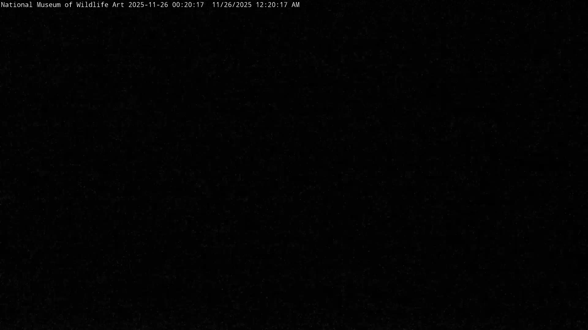 Jackson Hole, Elk Refuge from National Museum of Wildlife Art Live Cam -  Jackson, Teton, Wyoming, USA