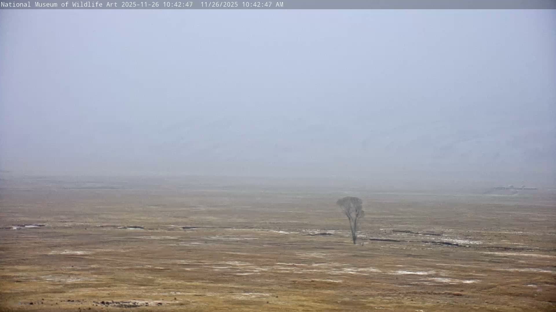Jackson Hole, Elk Refuge from National Museum of Wildlife Art Live Cam -  Jackson, Teton, Wyoming, USA