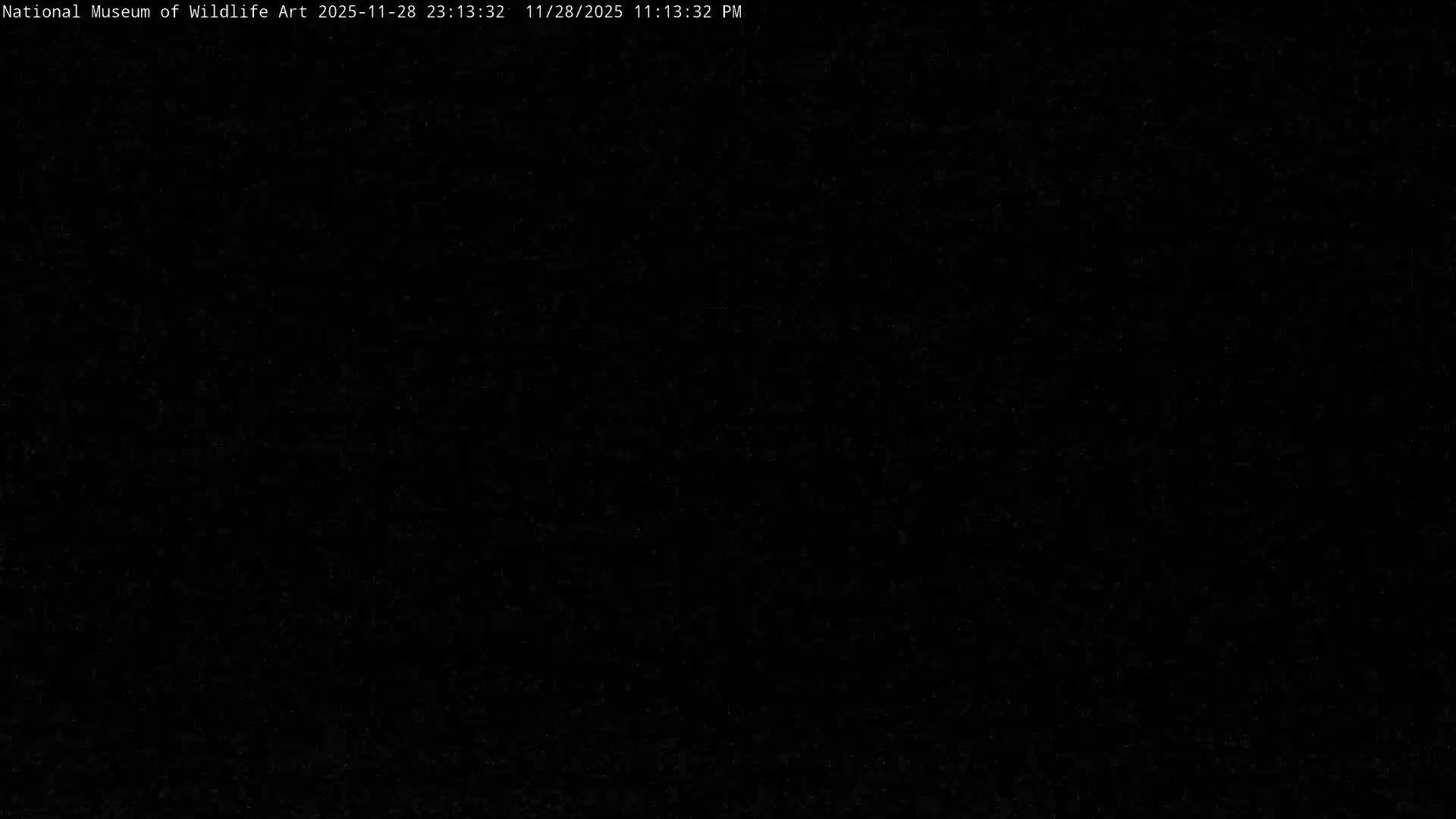 Jackson Hole, Elk Refuge from National Museum of Wildlife Art Live Cam -  Jackson, Teton, Wyoming, USA