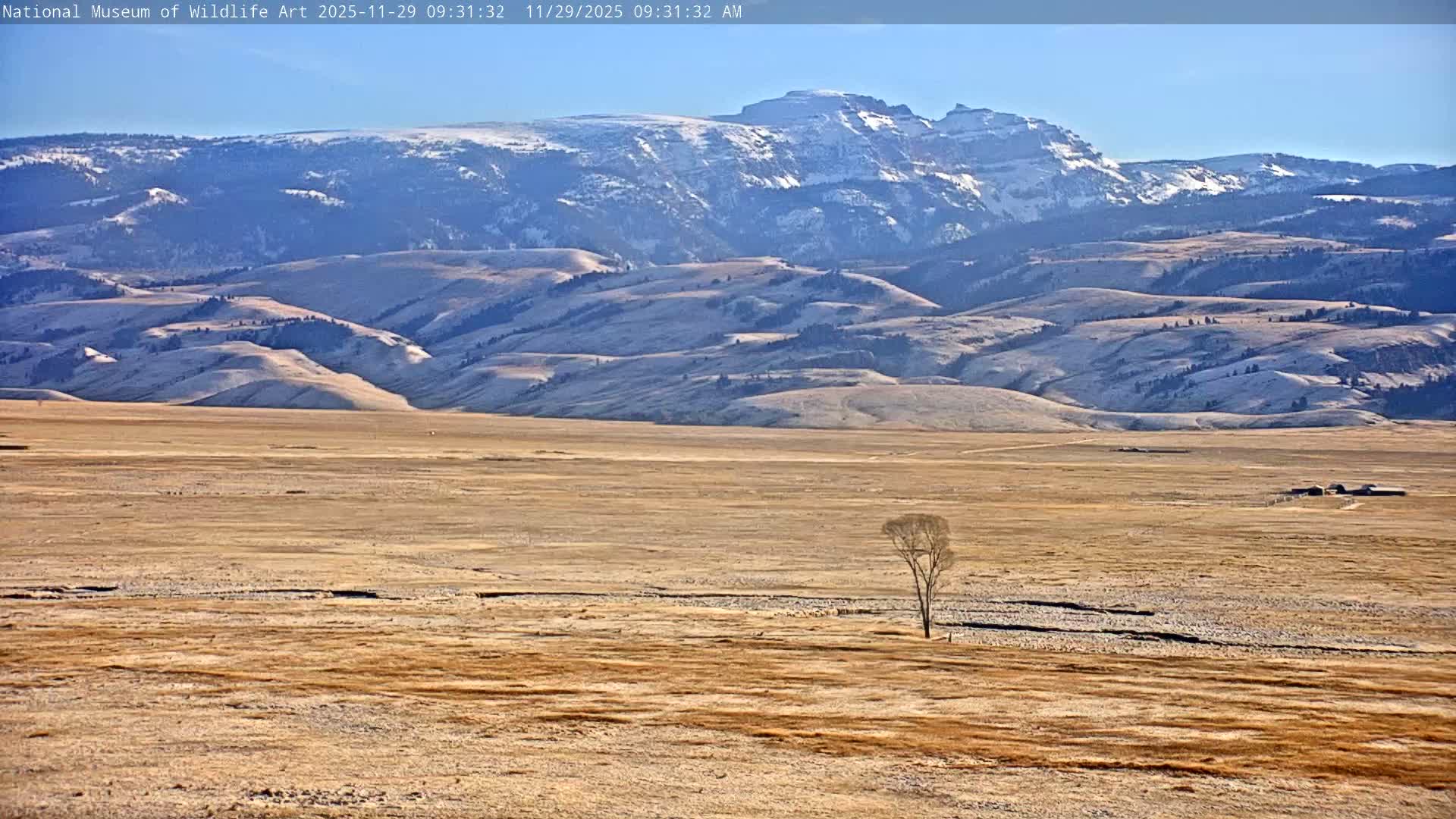 Jackson Hole, Elk Refuge from National Museum of Wildlife Art Live Cam -  Jackson, Teton, Wyoming, USA