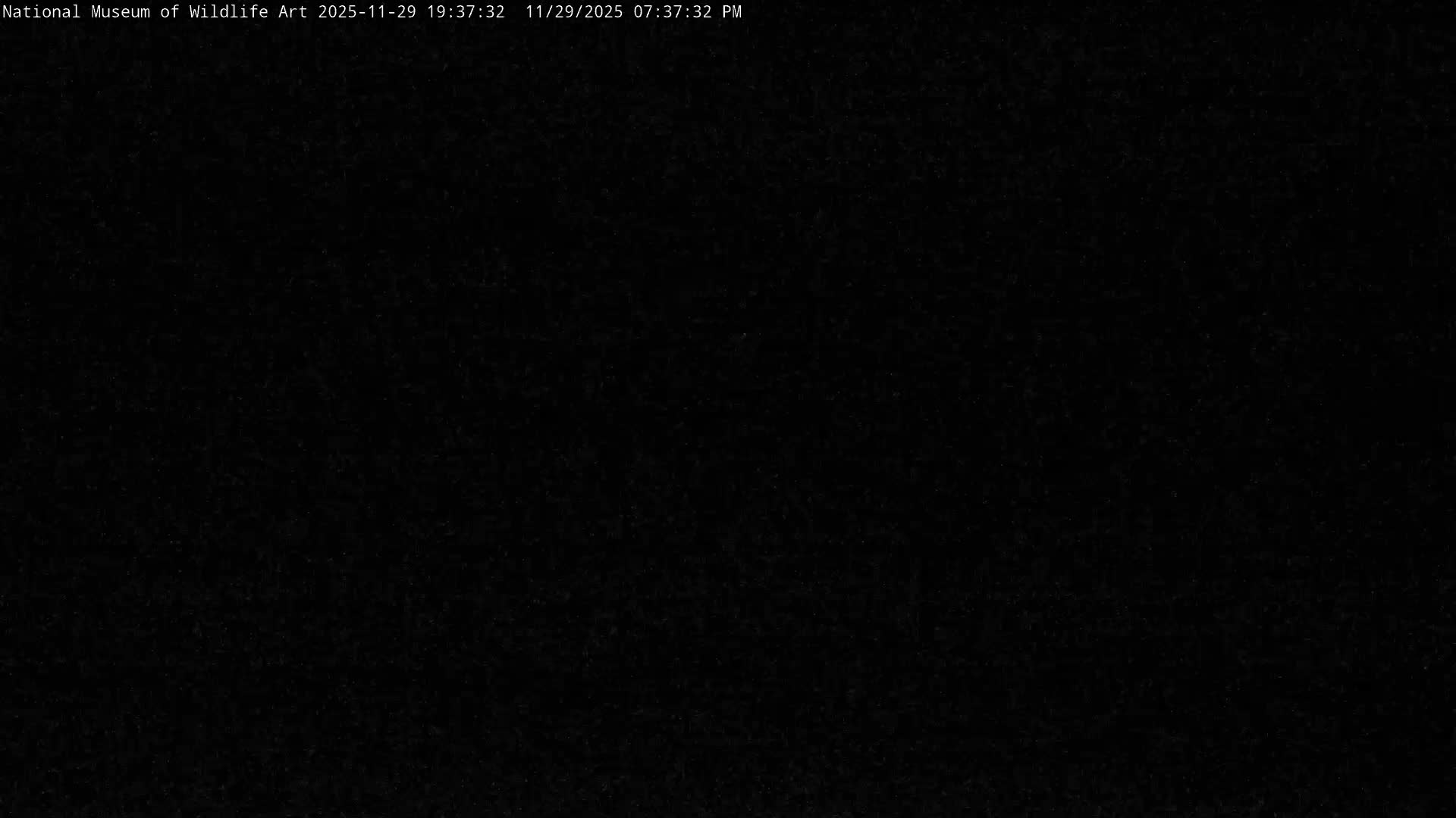 Jackson Hole, Elk Refuge from National Museum of Wildlife Art Live Cam -  Jackson, Teton, Wyoming, USA