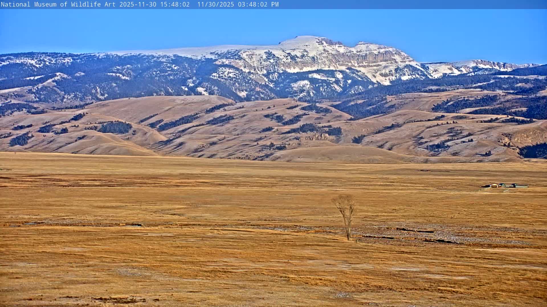 Jackson Hole, Elk Refuge from National Museum of Wildlife Art Live Cam -  Jackson, Teton, Wyoming, USA