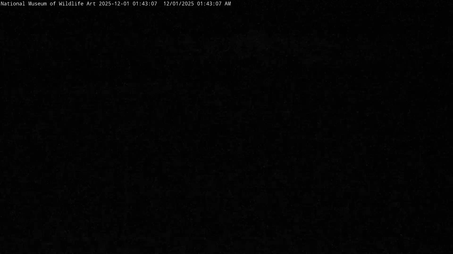 The scene is pitch black, consistent with a very dark night.