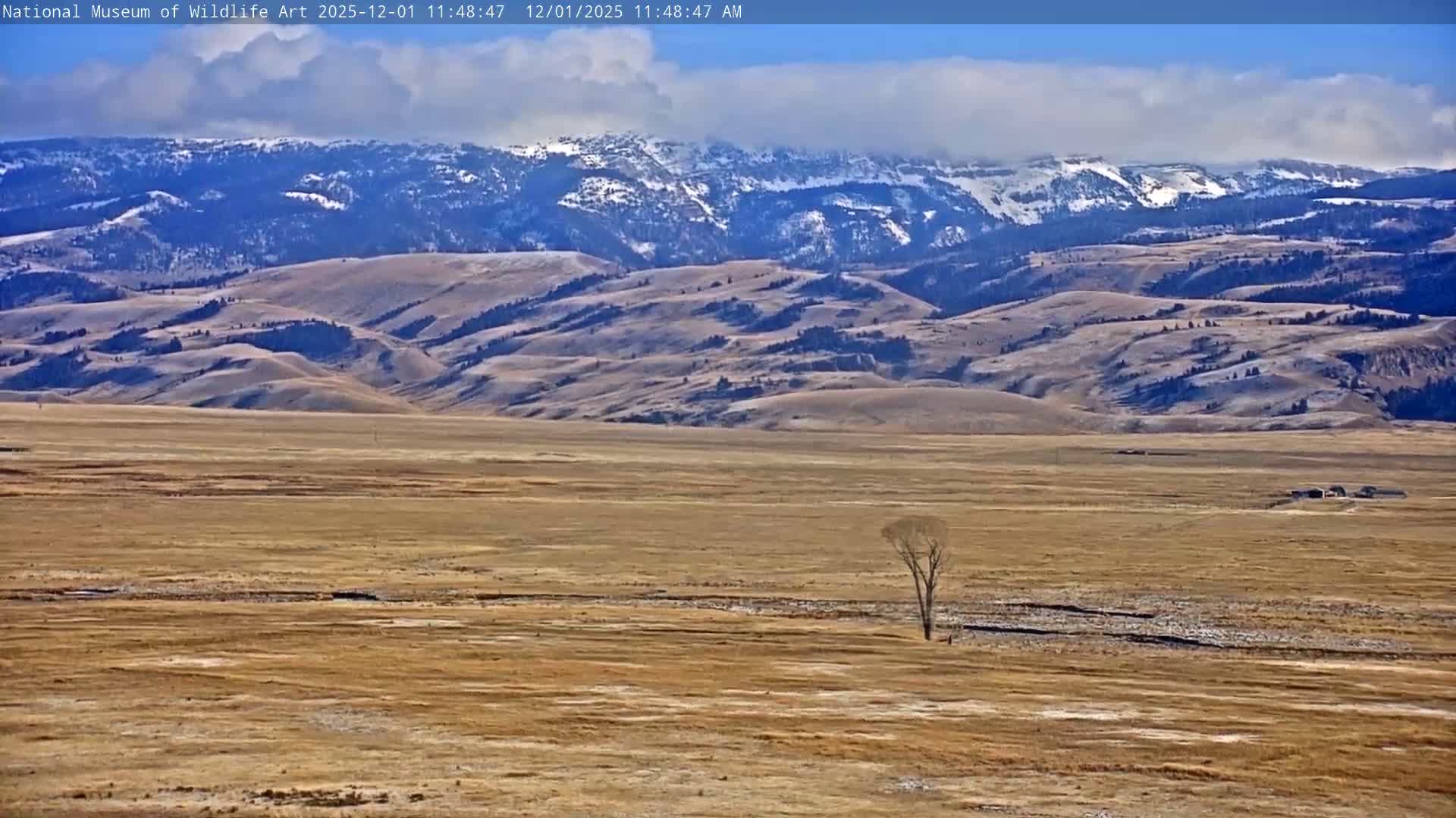 Jackson Hole, Elk Refuge from National Museum of Wildlife Art Live Cam -  Jackson, Teton, Wyoming, USA