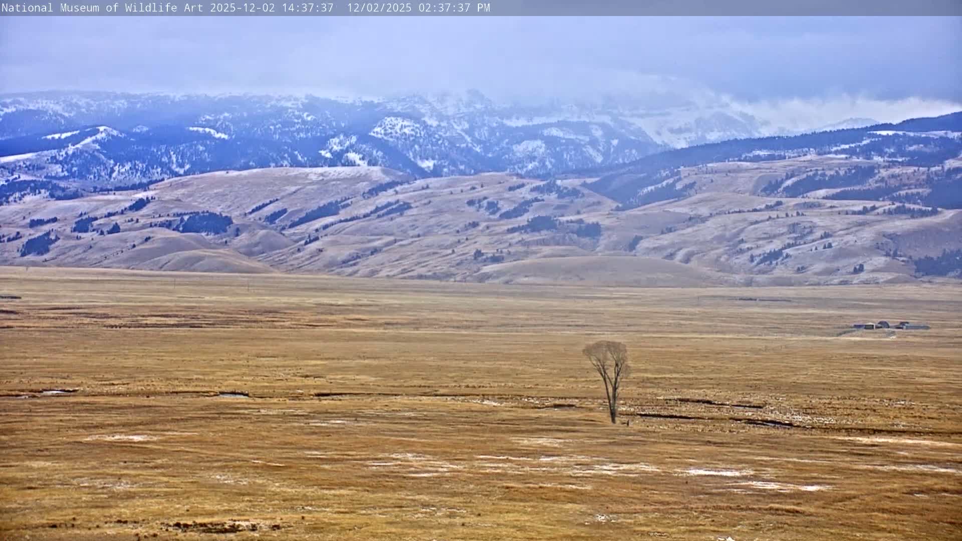 Jackson Hole, Elk Refuge from National Museum of Wildlife Art Live Cam -  Jackson, Teton, Wyoming, USA